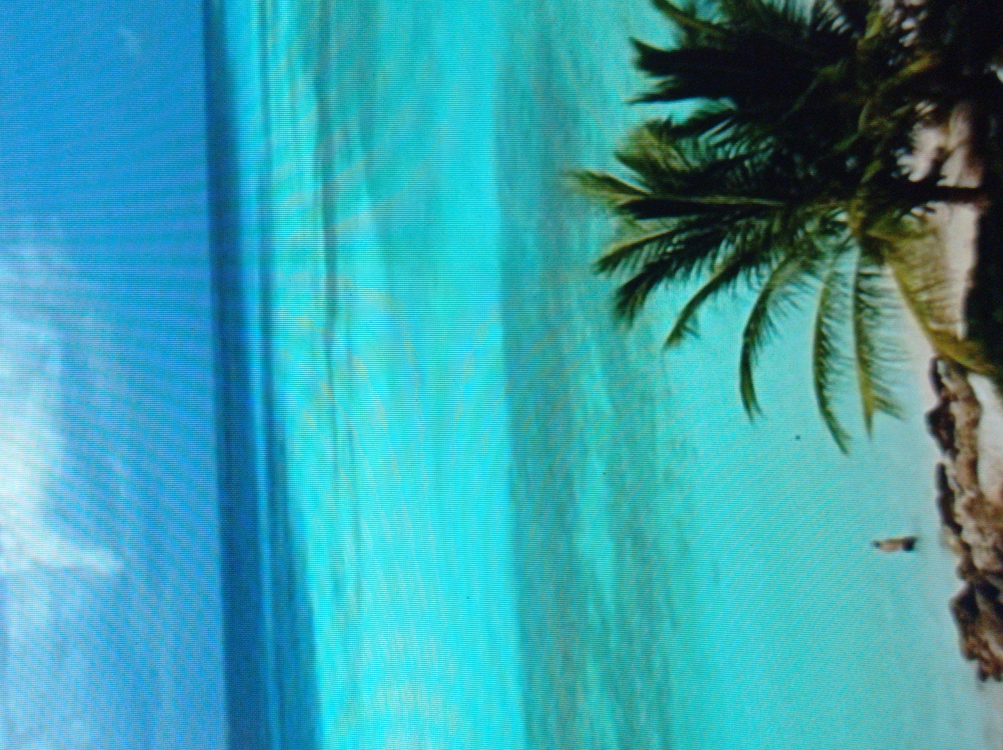 The image depicts a tropical beach scene. In the foreground, the fronds of several palm trees are visible, silhouetted against a bright blue sky. The ocean is a vibrant turquoise, with gentle waves breaking on a rocky shore. In the distance, a lone figure stands in the shallow water, seemingly enjoying the serene environment. The overall impression is one of tranquility and natural beauty. There is no information to suggest this scene is located in Mukachevo, Ukraine.