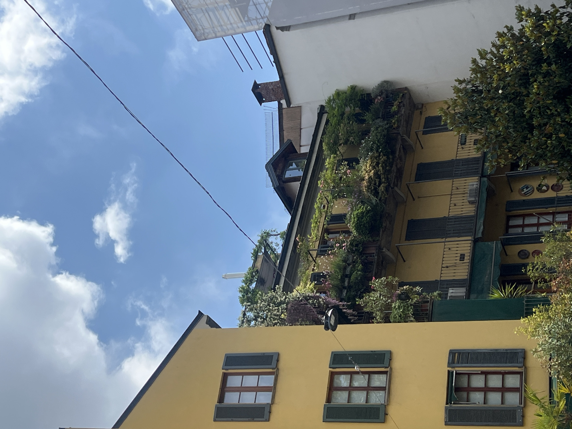 The image captures a multi-story building in Milan, Italy, characterized by its yellow facade and abundant greenery. The building features windows with dark shutters, some open and some closed, across multiple floors. Balconies are adorned with various plants and flowers, creating a vertical garden effect. The architecture suggests an older building, possibly a residential complex. The upper floors are partially obscured by vegetation and connected to an adjacent white building. The sky is visible in the background, with scattered clouds. Power lines are also visible.