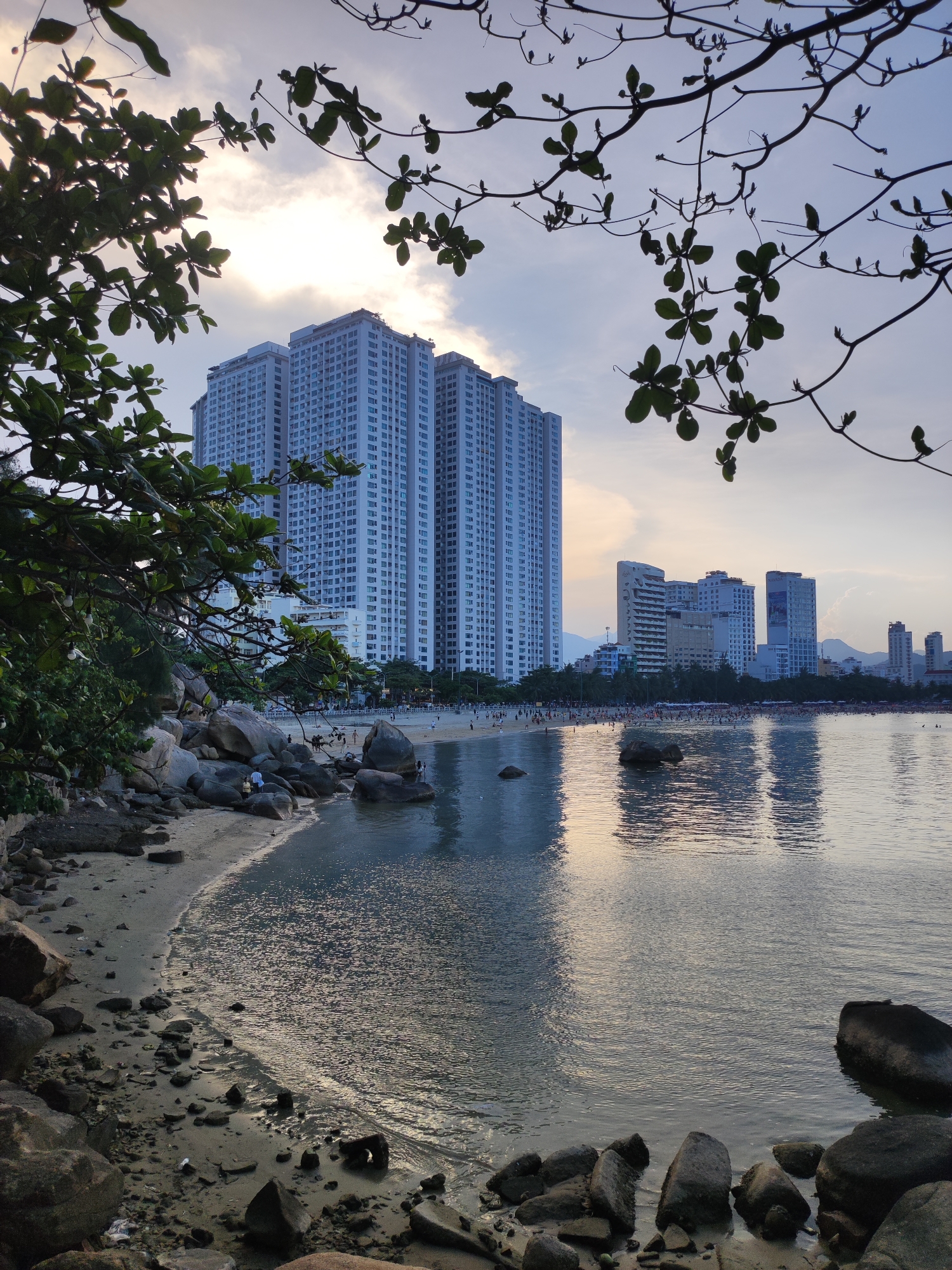 This image captures a coastal scene in Nha Trang, Vietnam, with a focus on a beach, the sea, and a backdrop of tall, modern buildings. The foreground features a sandy beach littered with numerous dark, irregular rocks of varying sizes, with some partially submerged in the shallow water. The sea occupies the majority of the frame, its surface shimmering with reflections from the sky and the distant city lights. A small section of the beach curves inward, creating a cove-like appearance.
In the middle ground, a crowded beach extends along the coastline, with numerous people visible enjoying the water and sand. Behind the beach, a line of low-rise buildings interspersed with palm trees forms a transition to the main architectural feature of the image: a cluster of very tall, slender, light-colored apartment or hotel buildings that dominate the skyline. These high-rises have numerous windows and balconies, indicating a densely populated urban area.
The sky above is a soft gradient of pale blue and grey, with streaks of cloud and a diffused light source, suggesting either early morning or late evening. Silhouetted branches of a leafy tree frame the top of the image, adding a natural element that contrasts with the urban structures. The overall atmosphere is serene, with the gentle lapping of waves and the distant presence of human activity. The reflections on the water suggest a calm sea.