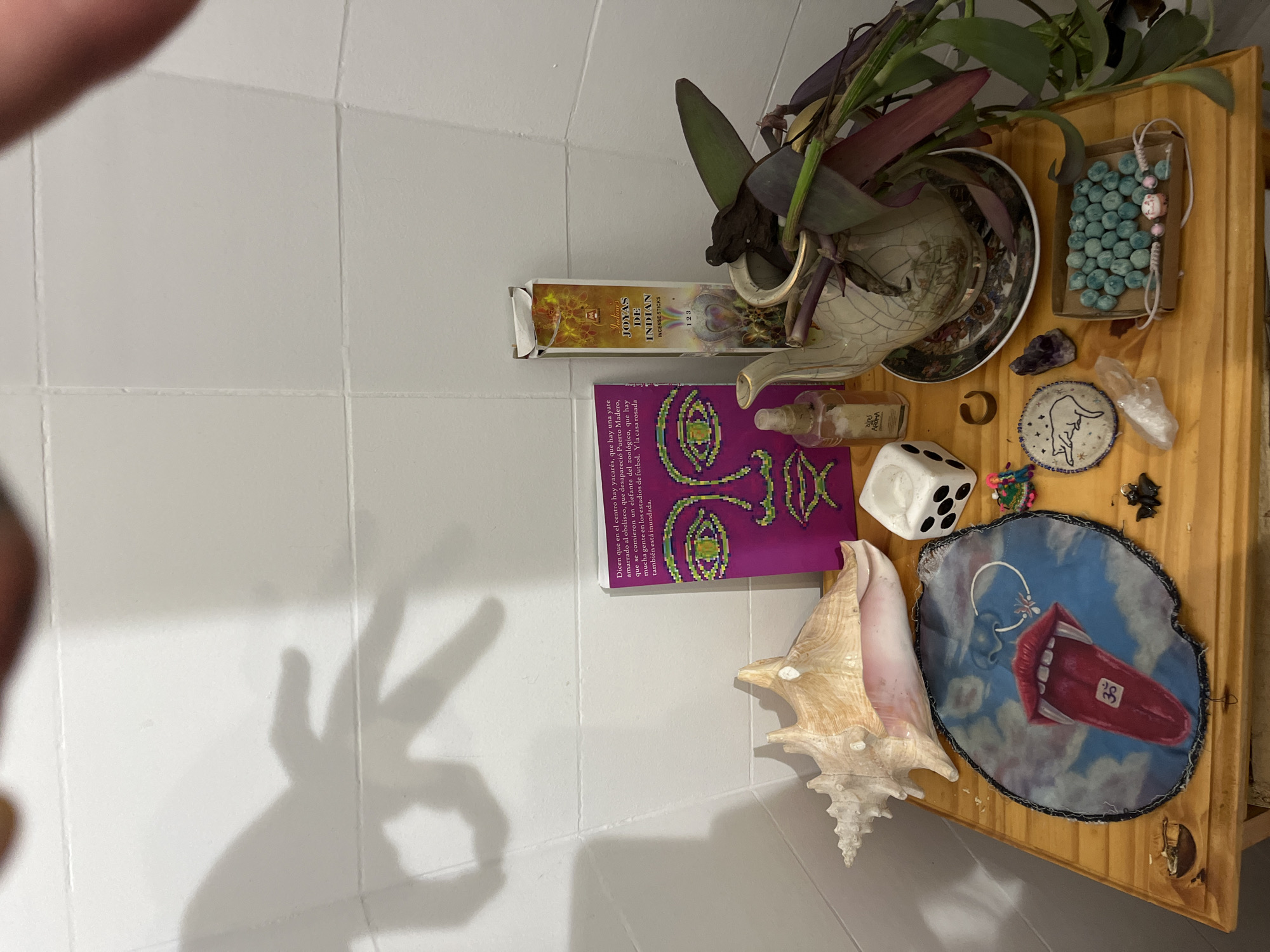 The image shows a collection of objects arranged on a wooden surface. A plant in a decorated pot sits atop a saucer, next to a box of Indian incense sticks. A purple book with an illustration of a face lies adjacent to a small bottle and a six-sided die. Further down, a large seashell rests beside a decorative patch featuring a tongue design. A bracelet of beads, amethyst, a small golden ring and a crystal are near a plate with an illustration.
The text on the purple book mentions "yacarés," "obelisco," "Puerto Madero," "elefante del zoológico," "estadios de futbol," and "la casa rosada." These details suggest a context related to the city of Buenos Aires, Argentina, with specific references to local landmarks like the Obelisco, the Puerto Madero district, and possibly the Casa Rosada (the presidential palace). The mention of "yacarés" (caimans) and an elephant could point to the city's zoo.