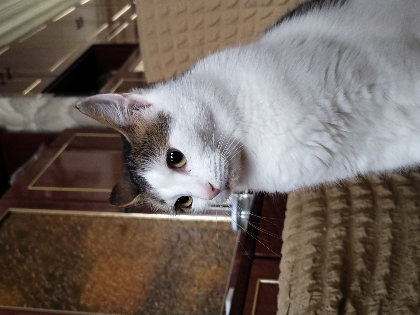 A medium shot captures a white cat with brown and black markings on its head and back, looking to the left. The cat has striking yellow eyes and long white whiskers. It is positioned in a room with a brown, textured upholstered surface in the foreground, likely a chair or sofa. In the background, a dark brown wooden cabinet with gold trim is visible. The lighting in the room is warm, with some diagonal lines of light suggesting ceiling fixtures or ambient light. The overall setting appears to be domestic.