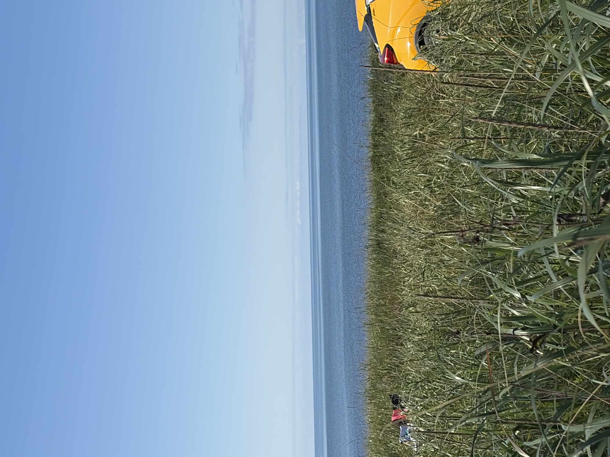 The image shows a view of the sea from a grassy area. A bright yellow car is parked on the right side of the frame, partially obscured by tall grass. In the foreground, there is dense green grass with some brown stalks. On the left side, near the water's edge, there are some brightly colored objects that appear to be beach chairs or towels, one red and one blue. The sea is a calm, deep blue, meeting a pale blue sky with a thin, hazy line of clouds on the horizon. The overall impression is a serene, outdoor scene, likely a beach or coastal area. This location is the city of Ozerskoe, Russia.