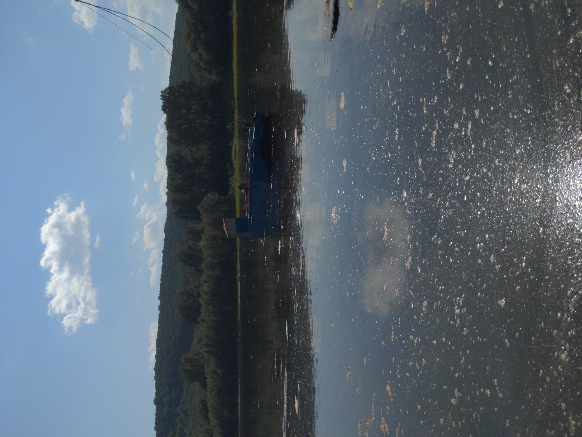 A wide shot captures a calm, reflective body of water, likely a river, under a bright, partly cloudy sky. The water's surface is disturbed by patches of foam and what appears to be debris, creating a textured, shimmering effect. In the middle ground, a small, blue, flat-bottomed boat is moored, featuring a simple, enclosed structure on its deck. A person is visible standing near the stern of the boat. The background is dominated by a dense, dark green forest that covers a rolling hillside. The overall scene suggests a tranquil, natural setting.