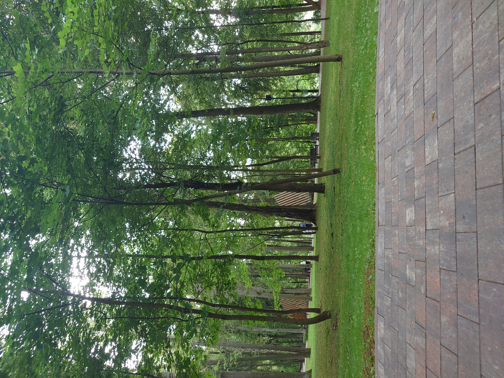 The image shows a park with a paved walkway in the foreground. The walkway is made of rectangular bricks in shades of brown and gray, laid in a staggered pattern. Beyond the walkway is a lush green lawn with scattered trees. The trees have dense green foliage, and the sun is filtering through the leaves, creating dappled light. In the background, there are more trees, some with decorative wooden structures behind them. A few people are visible in the distance, walking or standing. The scene appears to be from the посёлок подсобного хозяйства «Воскресенское», Russia, based on the provided location. The overall atmosphere is peaceful and natural.