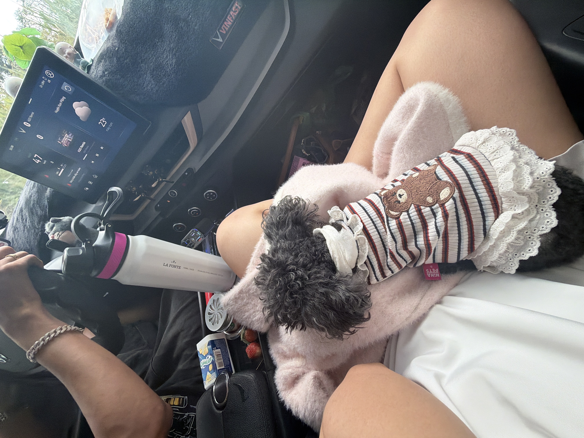 Inside a VinFast car, a person is seated in the passenger seat with a small, dark-haired dog resting on their lap. The dog, possibly a poodle, wears a striped outfit with a lace collar and a teddy bear patch on its back, along with a "HIHA PETS S" tag. The passenger's legs are visible, and they wear light-colored attire. Another person's arm, adorned with a silver-colored bracelet, is visible on the left, holding a steering wheel or handle.
The car's interior features a large central display screen, showing "03:06" (likely 3:06 PM), a speed of "47 km/h", and weather information including a cloud icon and "23°C" with the Vietnamese text "mây cụm" (cloudy). The screen also displays "Huyện Kon Plông", indicating the car's location or destination context in Kon Plông District, Kon Tum province, Vietnam, which aligns with the Măng Đen region. Music details, "V H2O Remix", and a safety reminder, "Chú ý thất đây an toàn" (likely "Chú ý thắt dây an toàn" - pay attention to fasten seat belt), are also visible on the screen.
Between the passenger's legs, a white "LA FONTE STAINLESS STEEL WATER BOTTLE" with a pink band is visible, along with a black bag, a box labeled "Kẹo" (candy), and two fresh strawberries. The dashboard is covered with a fuzzy black material, and a "VINFAST" logo is prominent. The scene suggests a relaxed car journey, possibly on a cloudy afternoon in Măng Đen, Vietnam.