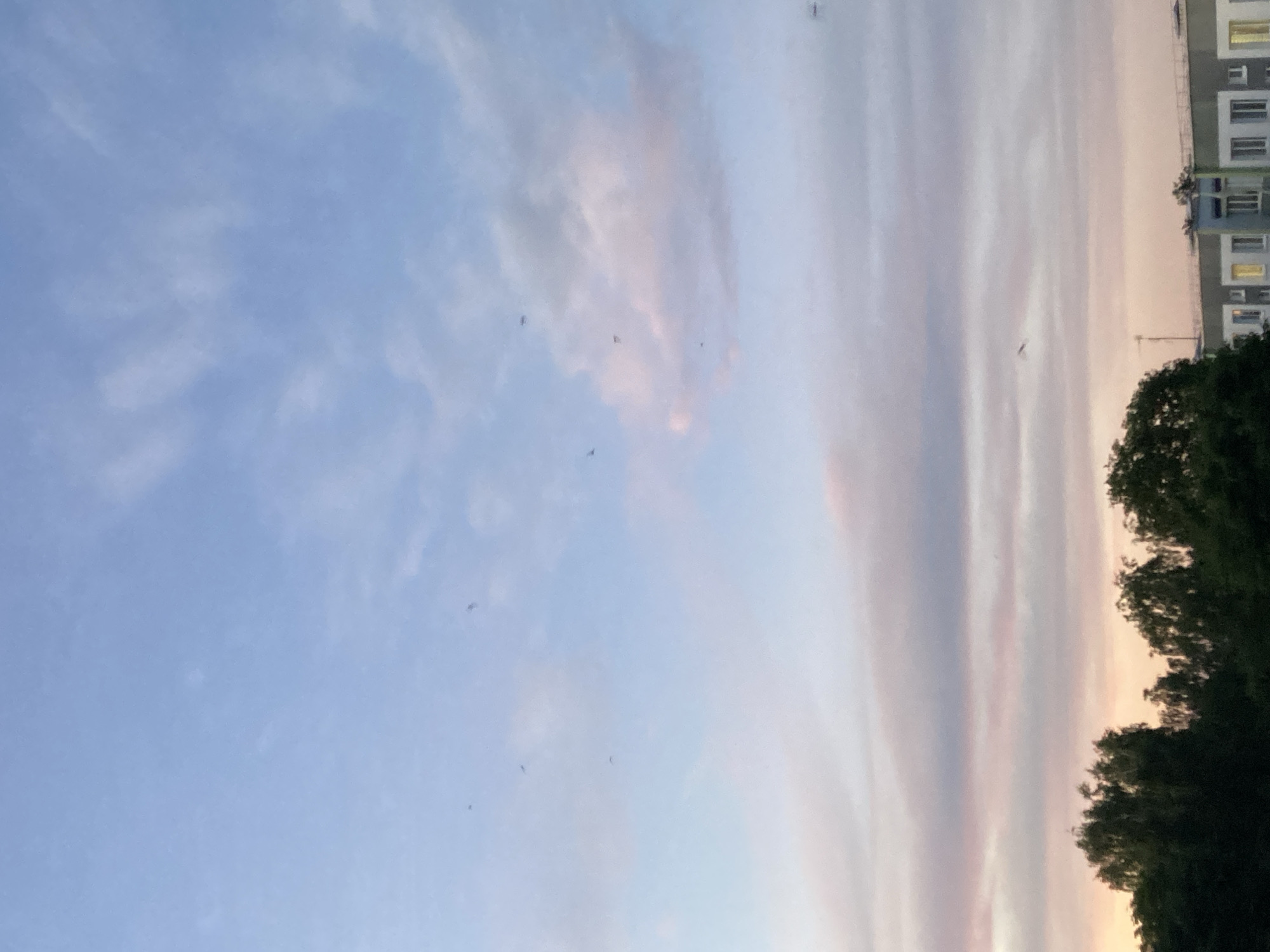 A wide shot captures a twilight sky over a suburban cityscape. The sky is a gradient of light blue at the top, transitioning to soft pinks and oranges near the horizon. Wispy clouds are scattered throughout, with a few larger, denser clouds tinged with pink. Several birds are visible in flight against the sky. Below the sky, a dark silhouette of lush green trees forms the middle ground. In the background, a building with a flat roof and a row of windows is partially visible, suggesting a residential or commercial area. The overall scene conveys a sense of calm and the transition from day to night in an urban environment.
