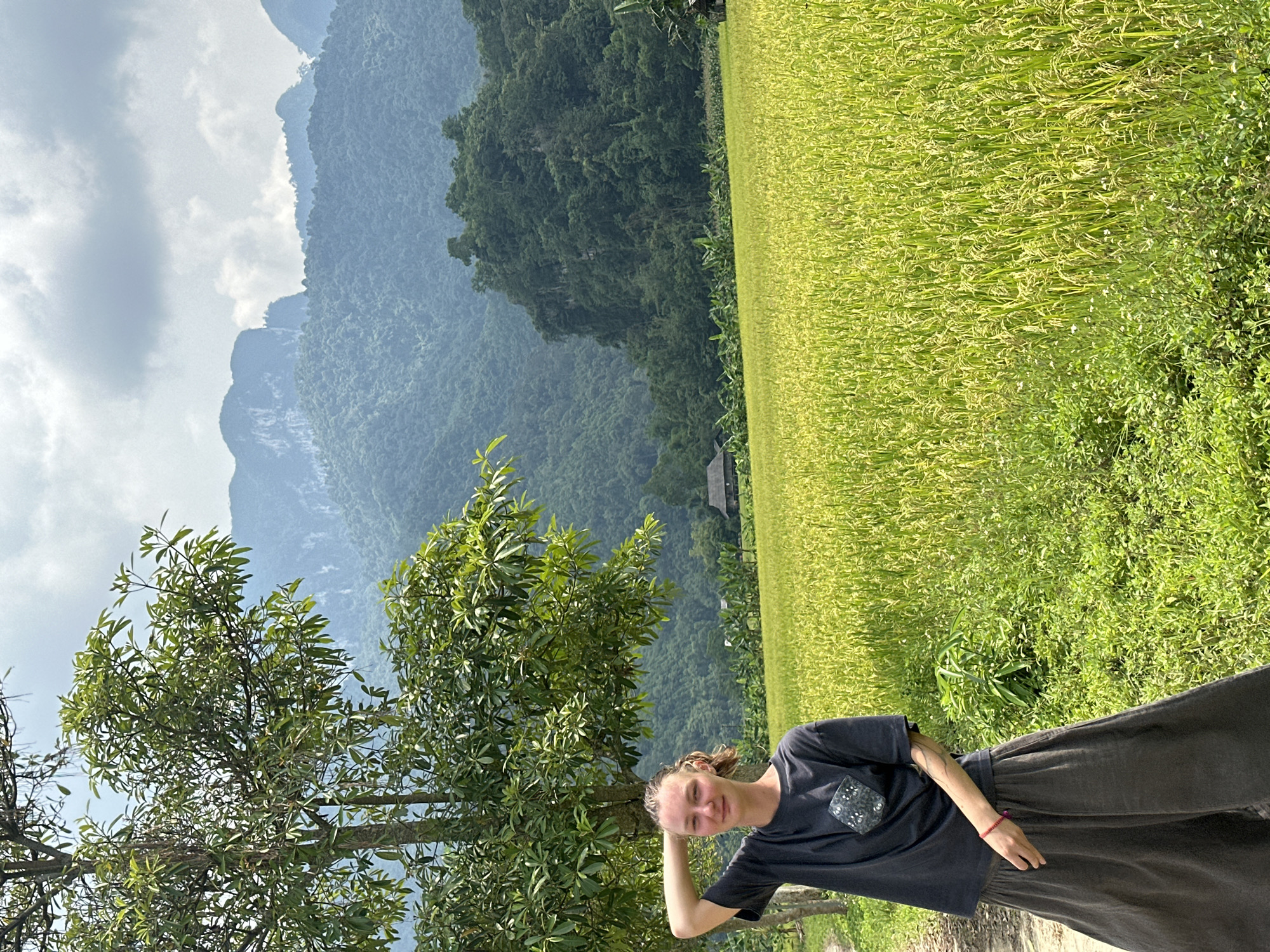 The image, correctly oriented, displays a picturesque rural landscape in Ngọc Đường Commune, Vietnam, with a young person in the foreground. A young woman with light hair, pulled back, stands slightly to the right of the frame, looking directly at the viewer with a relaxed, mild expression. She is wearing a dark grey t-shirt with a patterned pocket and dark, wide-leg pants. Her left arm is raised with her hand resting on her head, while her right arm hangs by her side, adorned with a small red bracelet.
To her left, a large, vibrant green tree with dense foliage occupies the mid-ground. Beyond the tree and stretching across the right side of the frame is an extensive, golden-green rice field, suggesting a mature crop. In the background, majestic, forested mountains rise, characterized by various shades of green and hints of blue haze, under a sky with scattered clouds and patches of bright light. A small, indistinct structure, possibly a dwelling or shed, can be seen nestled at the base of the mountains in the distance. The scene is bathed in natural daylight, likely late morning or early afternoon, with soft, diffused light filtering through the clouds. The overall impression is one of peaceful natural beauty and a relaxed pose. No visible text is present in the image.