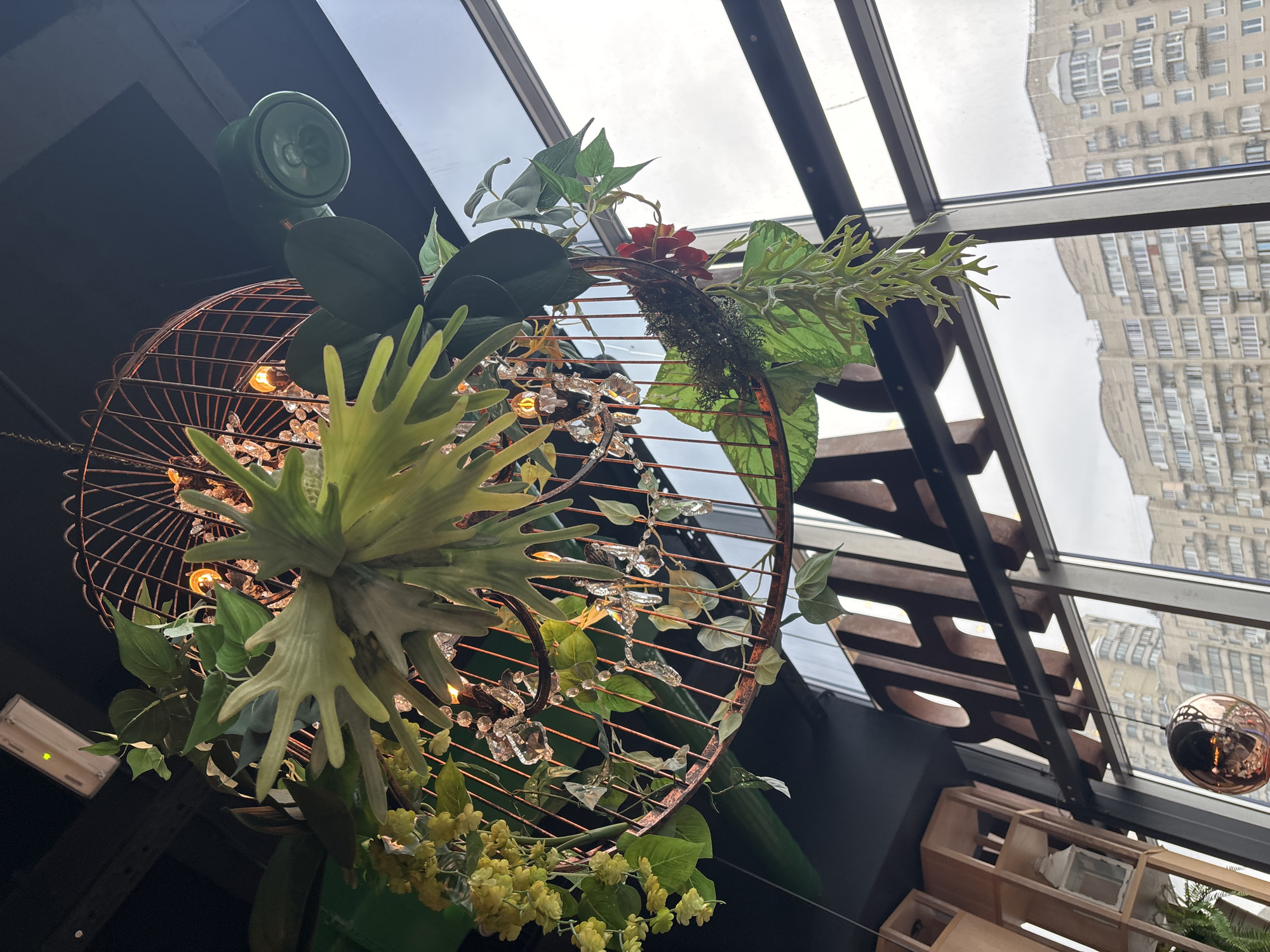 The image depicts an indoor space with a decorative hanging fixture composed of a copper-colored, spherical wire cage adorned with various artificial plants, crystals, and small light bulbs. A large staghorn fern is prominently featured in the fixture. The fixture is suspended from the ceiling, which is a glass-paneled structure allowing a view of the exterior, where a building is reflected. The architecture visible through the glass panes resembles that of Saint Petersburg, Russia. Elements of the room's interior design are also visible, including wooden shelving units and dark-colored walls.