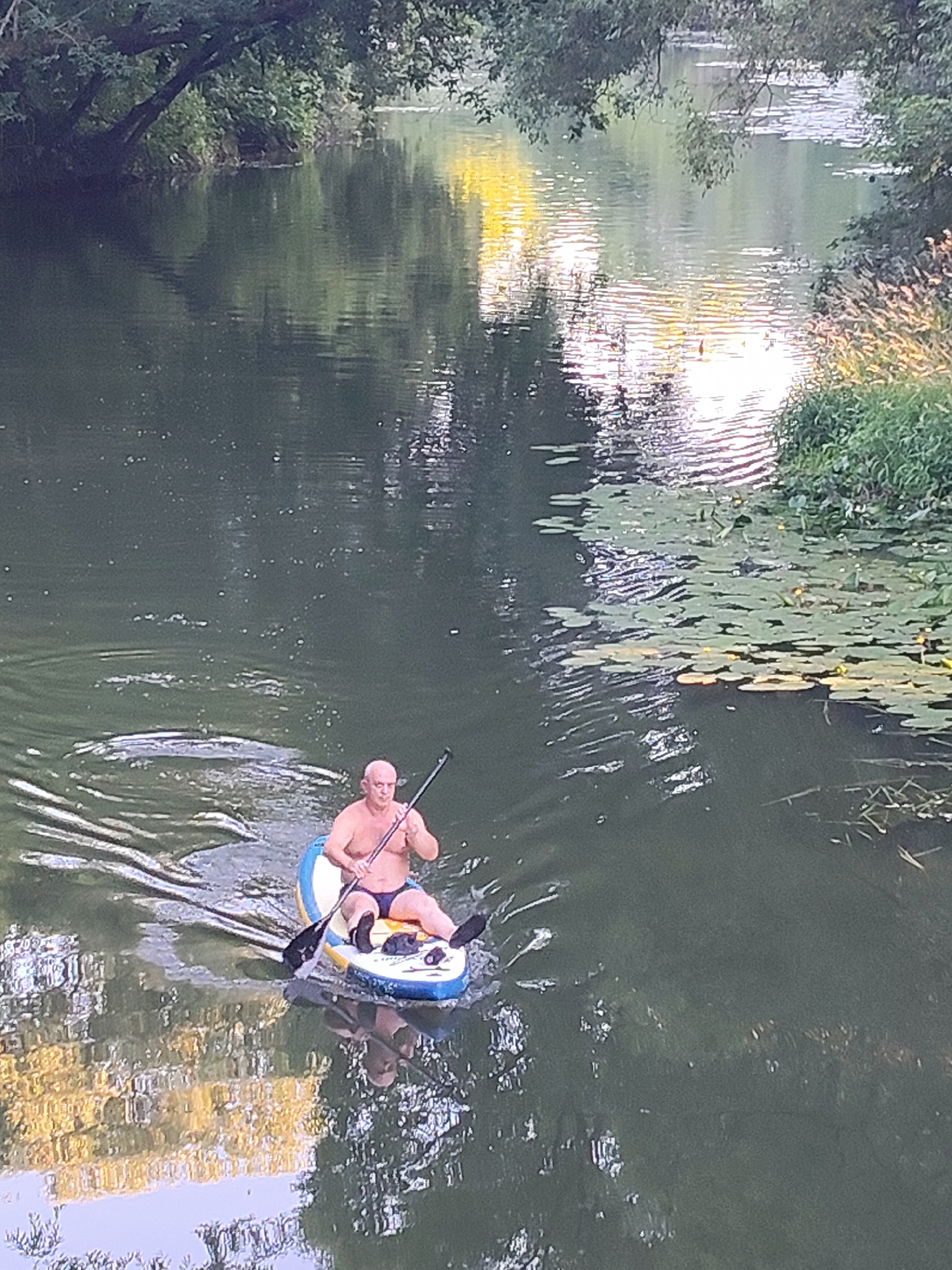 An adult bald male, wearing dark swim trunks and no shirt, is paddleboarding on a wide, calm river. He is positioned in the center of the frame, seated on a blue and white inflatable paddleboard. He is holding a black paddle, with the blade submerged in the water, propelling him forward. The river is surrounded by lush green trees and foliage on both banks. Water lilies are visible floating on the surface of the water, primarily on the right side of the frame. The water reflects the surrounding greenery and the sky, creating a dappled effect. The scene appears to be in a natural, tranquil setting, likely a park or a natural reserve within the city of Chekhov, Russia.