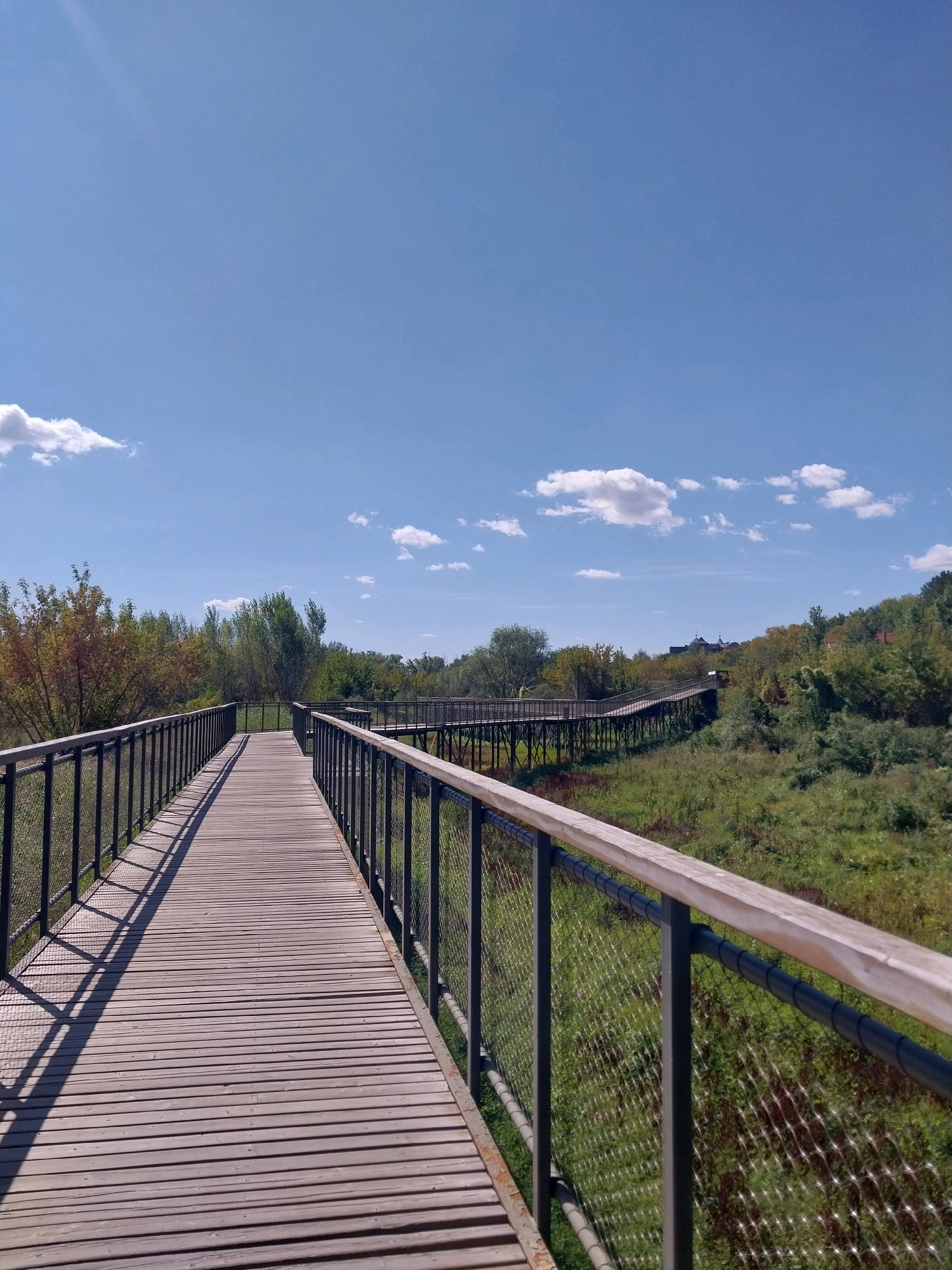 An elevated wooden boardwalk curves through a grassy, wooded area under a clear blue sky with scattered white clouds. The boardwalk has dark metal railings with wooden tops and a wire mesh infill. Sunlight casts long shadows across the wooden planks of the boardwalk, indicating it is daytime. The surrounding vegetation is lush and green, with trees visible on a gentle slope in the background. The overall scene depicts an outdoor recreational path in a natural setting. The location is the Orenburg Nature Reserve, specifically the "Donut Hole" ecological trail, in the city of Orenburg, Russia. There are no people visible in the image.