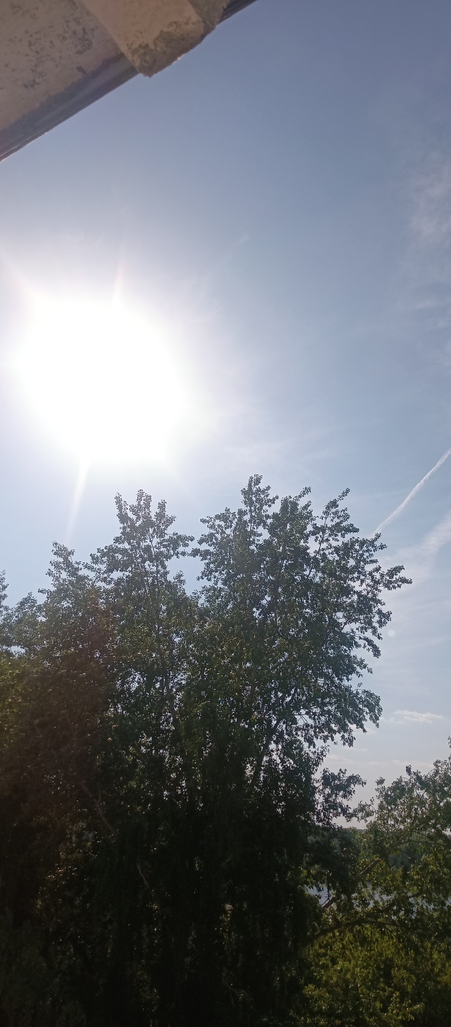 The image shows a bright, sunny day with a partial view of trees filling the lower half of the frame. The sun is positioned high in the sky, obscuring details. There are thin clouds, possibly contrails, visible in the upper right portion of the sky. A portion of a building or structure is visible in the top left corner. The trees extend into the bottom right of the frame, suggesting a wooded area or park. No people or specific objects besides the trees and structural element are clearly identifiable. Location is listed as Unknown, Unknown.