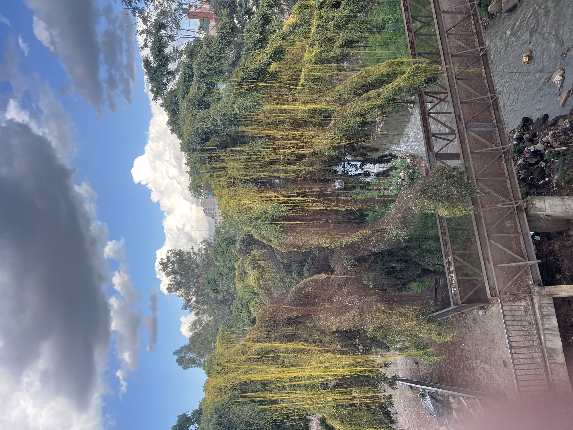 A high-angle shot shows a steel bridge crossing a polluted river in Nairobi, Kenya. Abundant green vegetation, heavily draped with yellow parasitic vines, dominates the scene. The sky is visible with blue patches among white and grey clouds. A pile of trash is visible next to the river below the bridge.