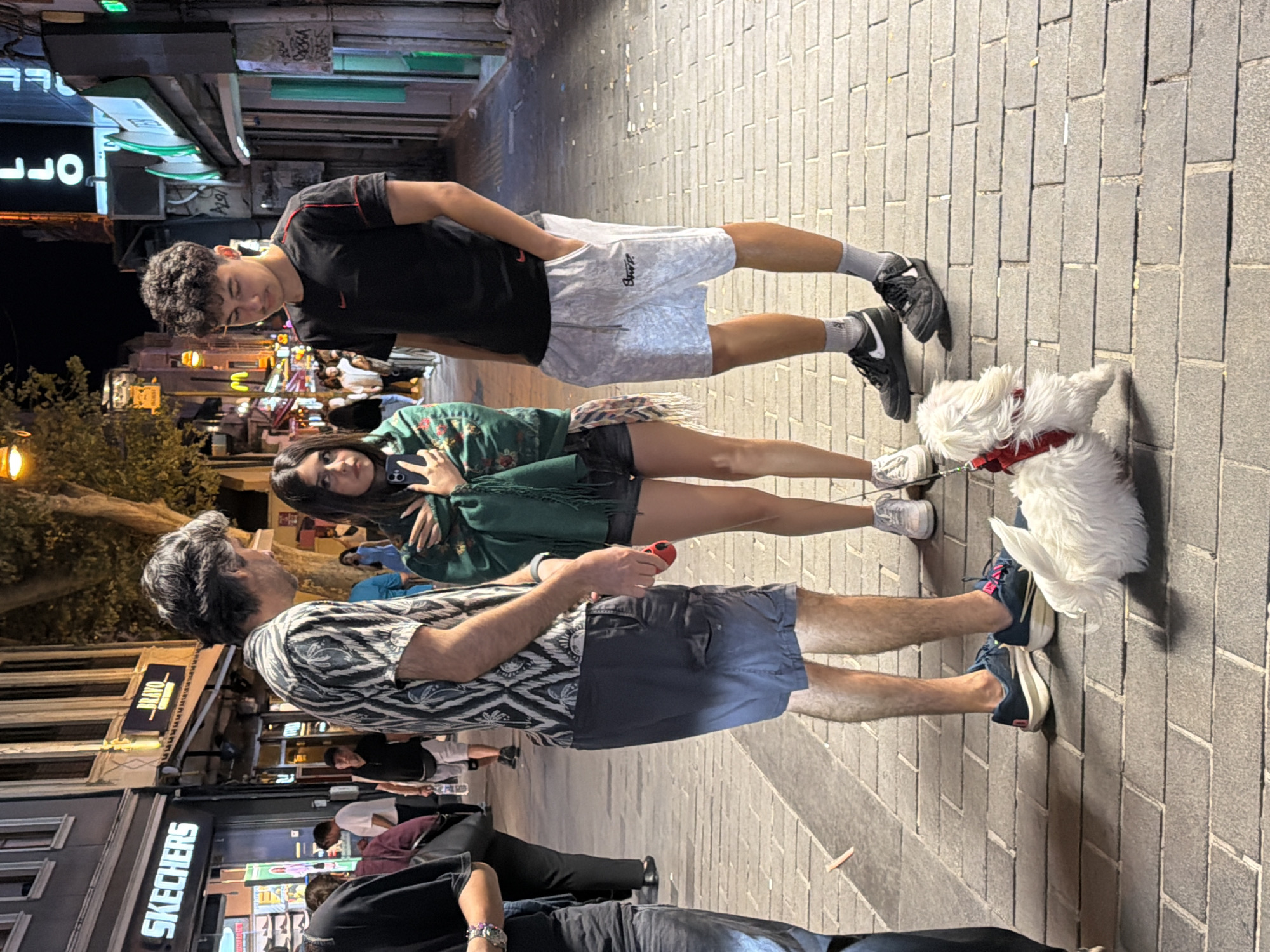 Three individuals, two adult males and one adult female, stand on a brick-paved street in Kadıköy, Turkey, at night. The male on the left is wearing a patterned short-sleeved shirt and dark blue shorts, holding a red object in his right hand. The female in the center wears a green shawl over dark clothing and appears to be holding a mobile phone. The male on the right is dressed in a black t-shirt and light grey shorts. In the foreground, a small white dog with a red harness is positioned between the three people. The background shows a street scene with shops, some with illuminated signs like "SKECHERS" and "BRAVO," and trees. Other pedestrians are visible in the distance. The lighting suggests an urban evening environment.