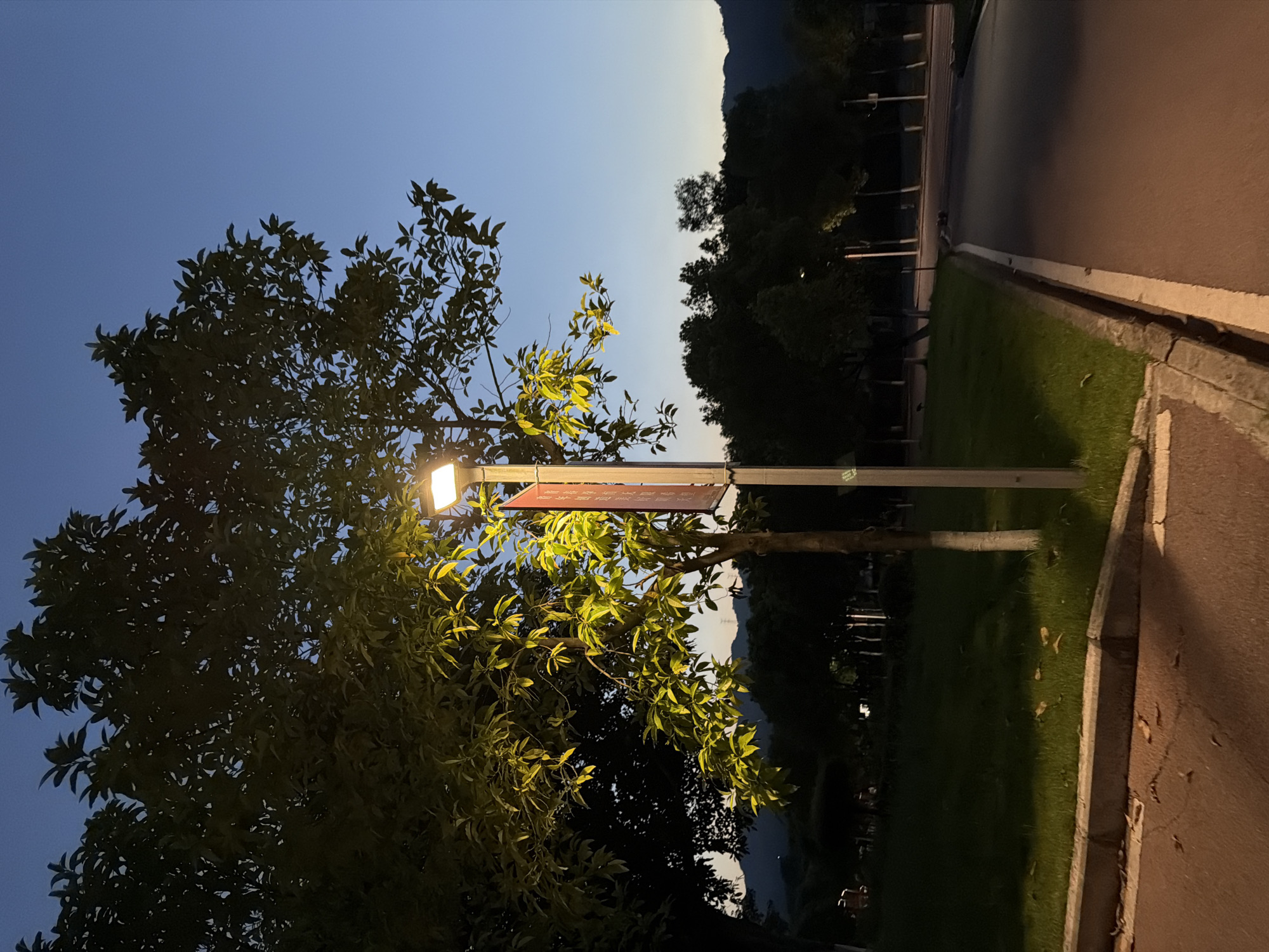 The image depicts a street scene in Jiangjin, China, at dusk. A lit streetlamp stands on the right side of the frame, casting a yellow glow on the surrounding foliage. The streetlamp is a modern design with a rectangular fixture and is mounted on a grey pole. A red banner hangs from the pole, bearing some text in Chinese characters.
To the left of the streetlamp, a large tree with vibrant green leaves is illuminated by the lamp. The leaves are a focal point, with some catching the light and appearing almost golden. Behind this tree, another, darker tree looms, its leaves mostly in shadow.
The foreground shows a paved path or road with a visible curb and some fallen leaves on the ground. To the left of the path is a grassy area. In the background, a line of trees forms a dark silhouette against the twilight sky, with faint outlines of distant hills or mountains visible beyond them. The sky itself is a gradient of deep blue to lighter blue, indicating the transition from day to night. There are no people visible in the image.
