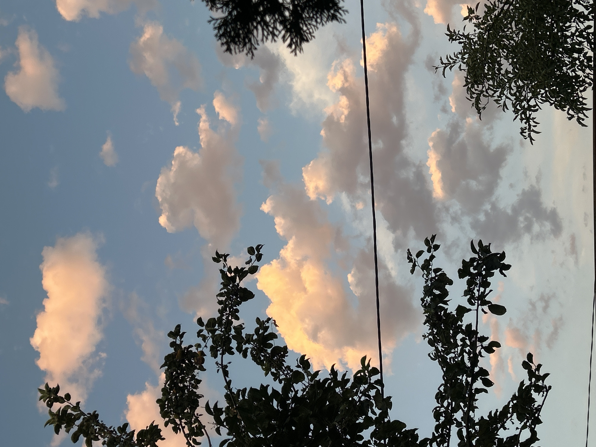 The image depicts a sky with scattered clouds in the city of Boraldai, Kazakhstan. The clouds are illuminated by the setting sun, casting a warm, peachy glow on their undersides. Silhouetted against the sky are the branches of trees, their dark foliage contrasting with the colorful clouds. A thin power line runs horizontally across the middle of the frame. The overall impression is one of a serene evening in a suburban or rural setting.