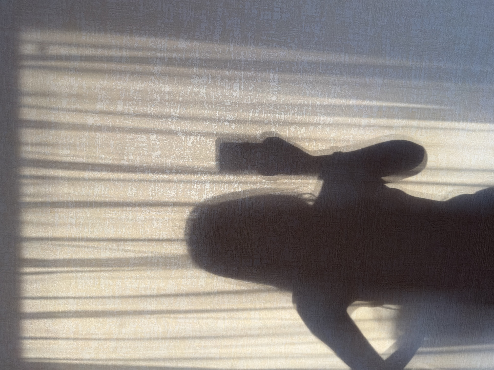 The image depicts a shadow of a person cast upon a patterned wall, presumably indoors. The person is holding a rectangular object, likely a phone, above them. Venetian blinds are visible in the background, casting horizontal lines on the wall. The overall lighting suggests daylight. There's no information in the photo that indicates the city or country.