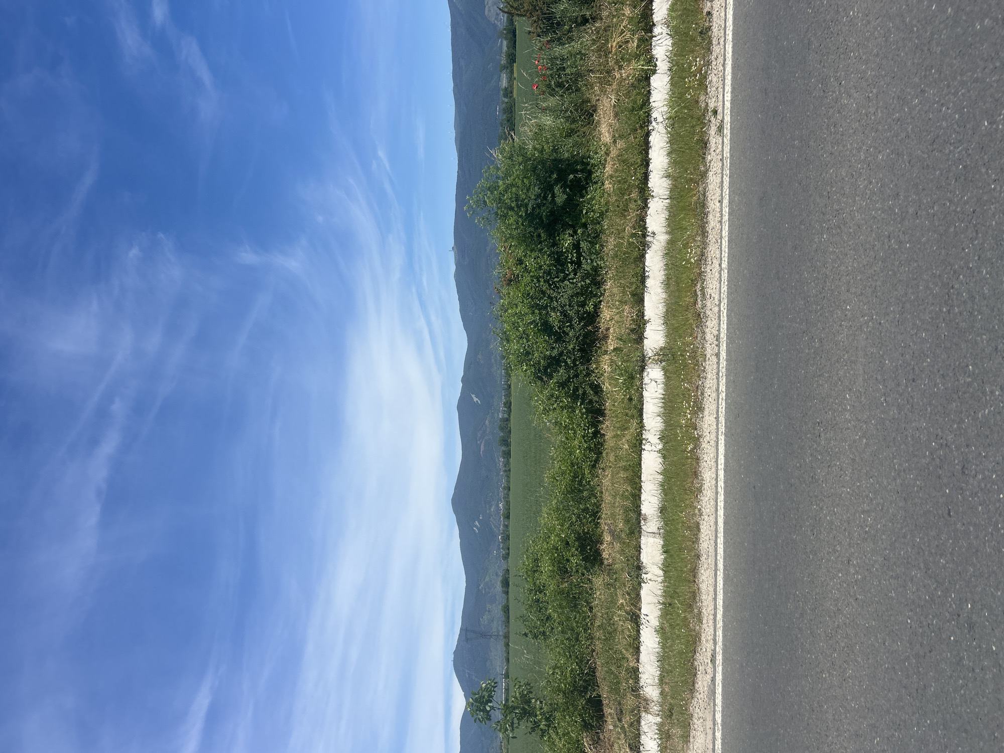 The image shows a landscape near Dunavtsi, Bulgaria. A gray asphalt road occupies the right side of the frame. Adjacent to the road is a narrow strip of green grass and a white concrete curb. Beyond this is a field of green vegetation and low-lying hills, fading into the distance. The sky above is a bright blue with wispy, streaky clouds. There are no people visible in the image.