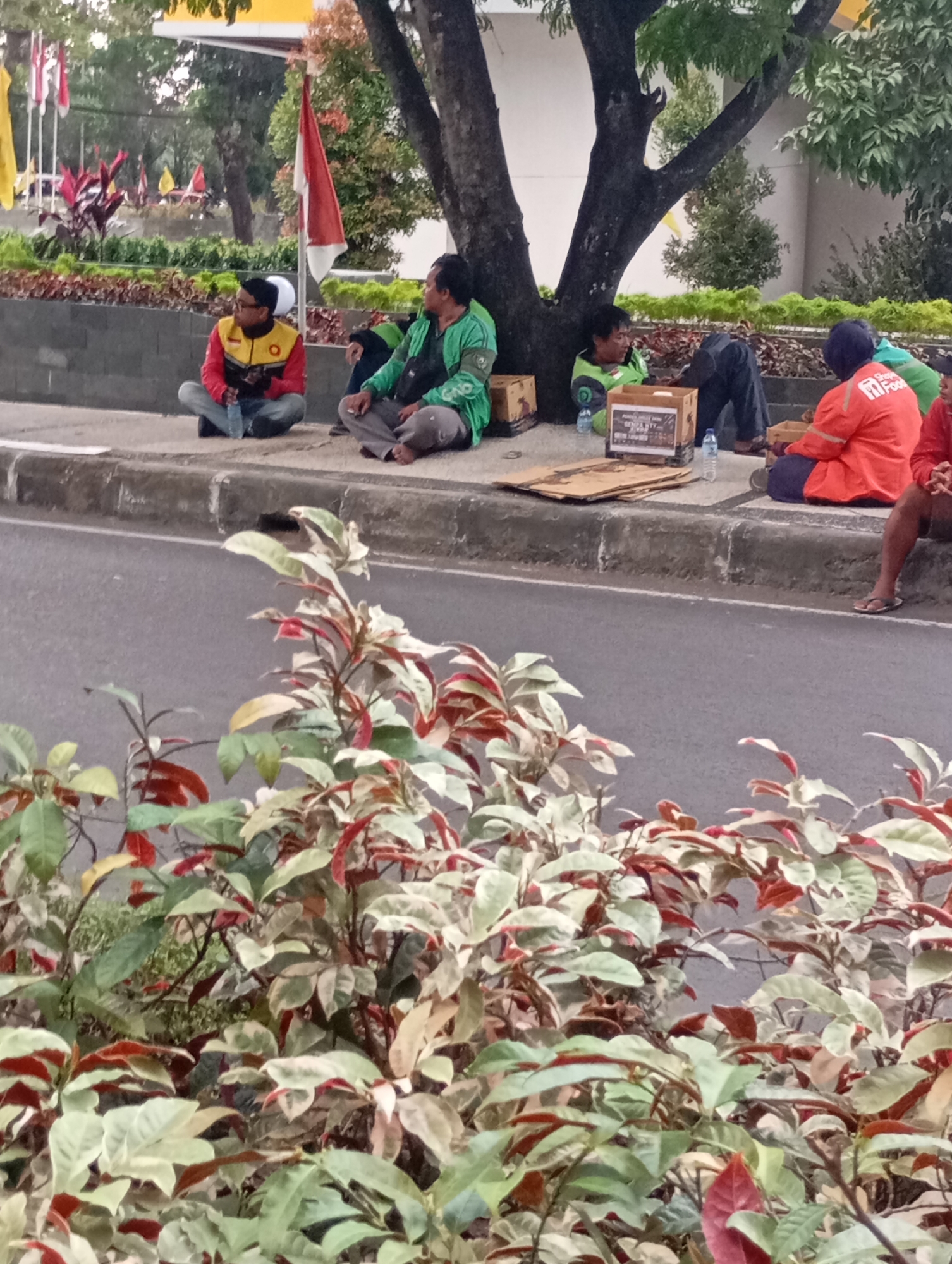 The image depicts a street scene in Mataram, Indonesia, likely in a busy urban area given the presence of a road and a building in the background. Several individuals are seated on the curb of a sidewalk, near the base of a large tree. They appear to be waiting or resting. One person on the left is wearing a red and yellow jacket, another in the center is in a green jacket, and two people further to the right are in orange and green jackets respectively. In front of them, there are cardboard boxes and a bottle of water. The foreground is filled with lush, leafy green plants with red and white variegated leaves, suggesting a decorative planting area. The overall atmosphere suggests a pause in activity, possibly by delivery workers or individuals taking a break from work.