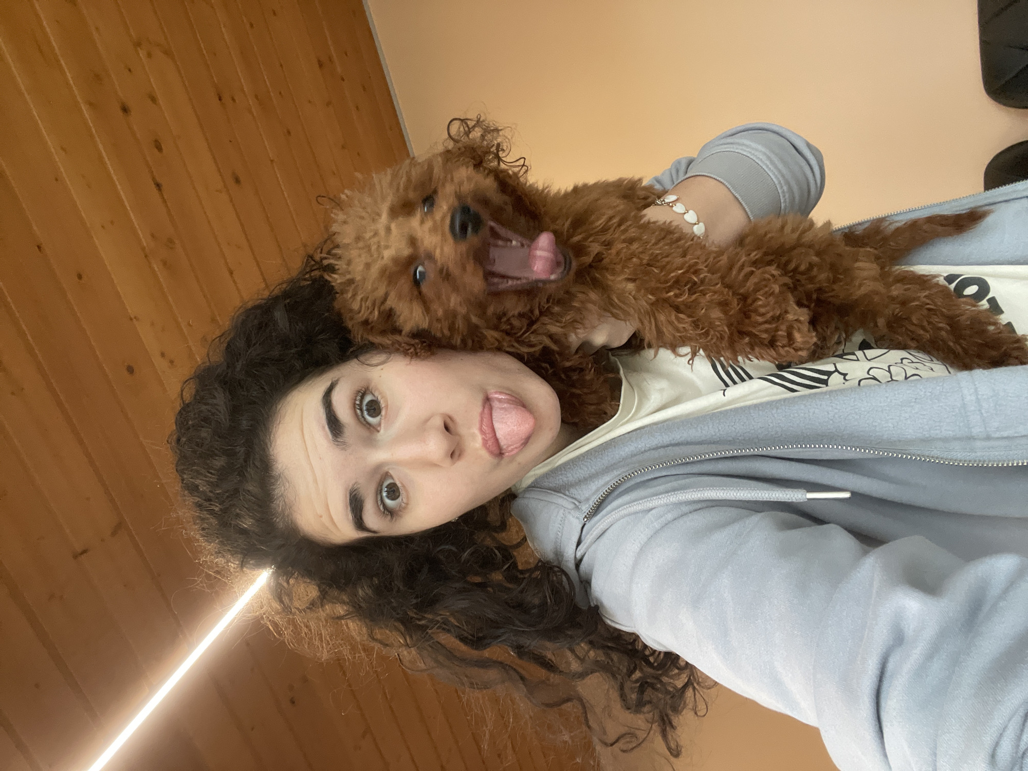 This indoor image captures a playful moment between a young woman and a small, fluffy, reddish-brown dog, likely a poodle or poodle mix. The woman, with dark, voluminous curly hair and light brown eyes, is looking directly at the camera with a humorous expression, sticking her tongue out. She is wearing a light blue zippered hoodie over a light-colored top that has some indistinct black printing. A white bracelet with heart-shaped beads adorns her right wrist.
She holds the dog close to her head, and the dog is caught in mid-action with its mouth wide open, revealing its tongue and teeth, possibly mid-yawn or during a playful vocalization. The dog's fur is distinctly curly.
The background features a warm wooden paneled wall on the left side, extending vertically, and a plain light peach or tan colored wall on the upper right. A bright, linear light source is visible along the wooden wall in the lower left portion of the image, casting a glow. The scene conveys a lighthearted and affectionate interaction. While the exact time of day is not clear, the presence of artificial light suggests an indoor setting. The location context provided is Sofia, Bulgaria. No legible text is visible on any objects within the frame.