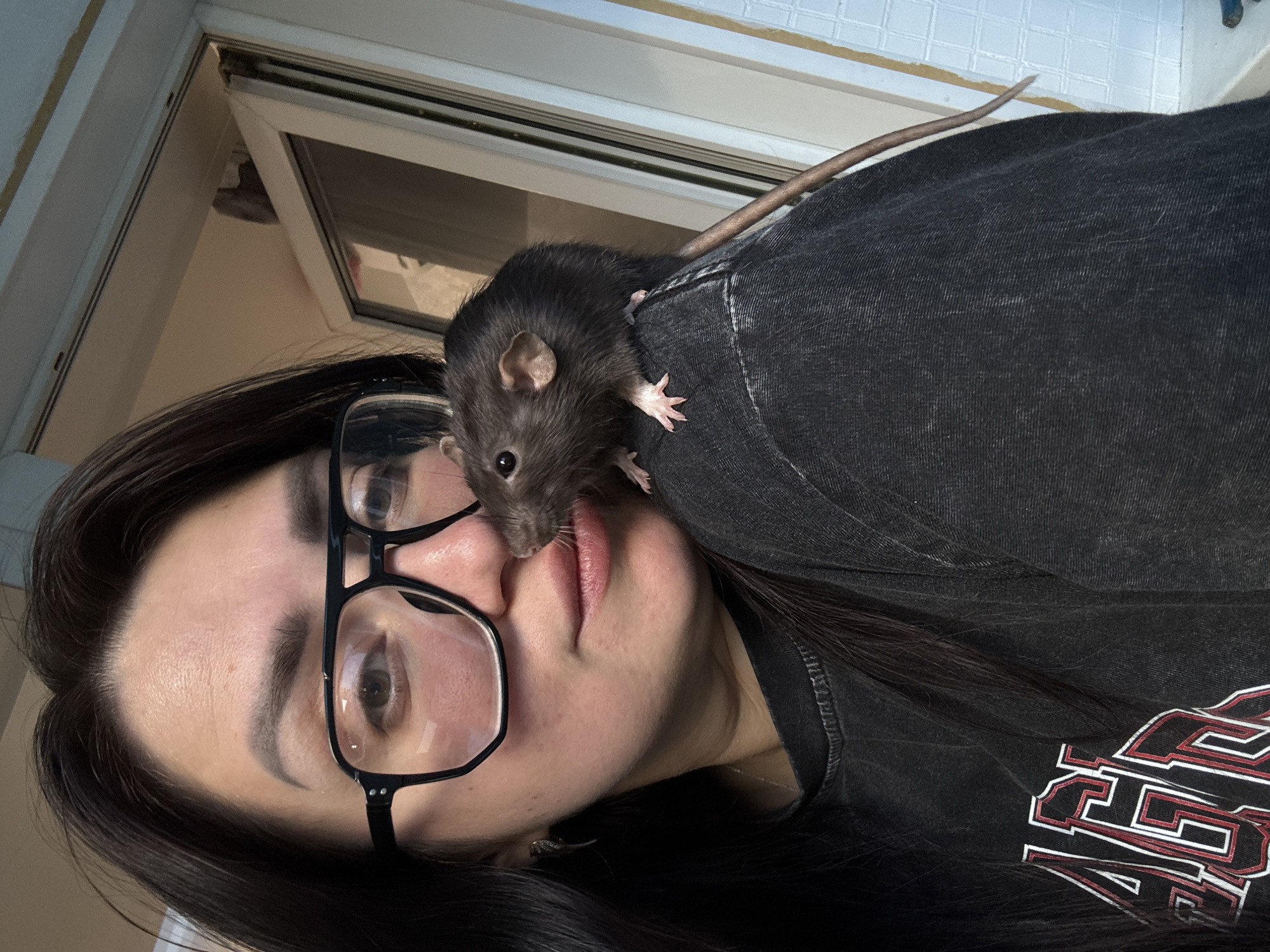The image is oriented vertically and features a close-up of a person with a pet rat. The main subject is a person, likely female, with dark hair cascading around their face. They are wearing black-rimmed glasses, which obscure part of their eyes. Their expression is neutral.
Perched on the person's left shoulder and collarbone area is a dark grey or black domestic rat. The rat's small pink paws are visible, gripping the person's clothing. Its nose is close to the person's mouth, suggesting an intimate interaction or exploration. The rat has dark, beady eyes and small, rounded ears. Its long, slender tail extends upwards and is visible against the light background.
The person is wearing a dark-colored t-shirt or sweatshirt. A partial graphic design with a white outline and red interior, appearing to be stylized block letters (possibly "RS" or part of a larger word), is visible on the right side of their garment.
The background shows an indoor setting. A window, possibly angled or partially open, is visible in the upper left quadrant of the image. The wall around the window is a light color, possibly white or cream, and appears to have a textured or tiled surface in some areas further back. The lighting suggests it is daytime. The overall mood of the image is calm and gentle, highlighting the bond between the person and their pet.
