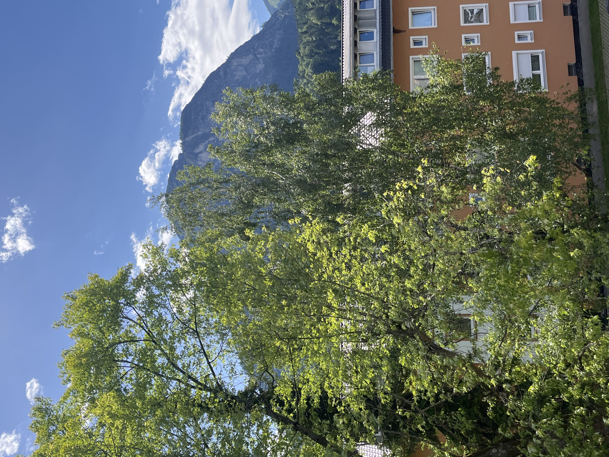 In Garmisch-Partenkirchen, Germany, a medium-shot outdoor photograph captures a view through leafy trees toward a mountain range and a building. The sky is bright blue with scattered white clouds. In the foreground, lush green trees with bright leaves dominate the left and center of the frame. Behind the trees, a multi-story building with an orange facade and numerous white-framed windows is visible. The building has several rows of windows, some with shutters. Further in the background, a dense green forest covers the lower slopes of a large, rugged mountain. The mountain's peak rises prominently against the sky, with a textured, rocky face. The overall scene depicts a clear, sunny day in a scenic, mountainous environment, with urban development integrated into the natural landscape.