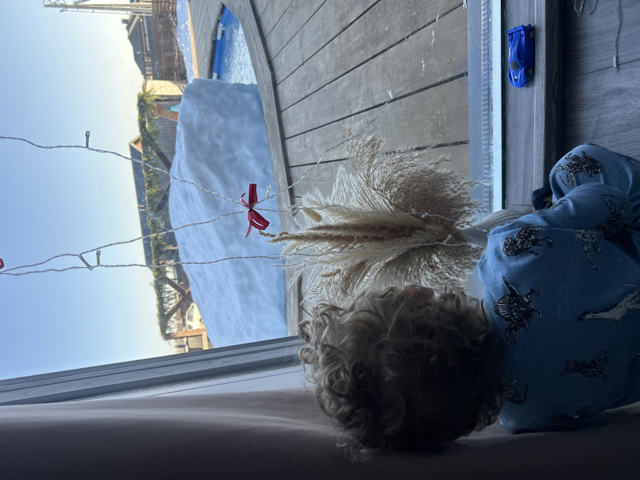The image depicts an indoor scene looking out a window onto an outdoor environment in Shipulino, Russia. In the foreground, a young child, viewed from behind, sits on a light-colored wooden floor, facing the large window. The child has light brown, curly hair and is wearing blue pajamas patterned with dark animal figures. On the dark-colored window sill, a white vase holds a large arrangement of dried pampas grass. A string of small LED fairy lights, featuring at least one red ribbon, is draped vertically across the windowpane, partially obscuring the view. A small blue toy car rests on the right side of the window sill. Outside, under a clear, light blue sky, a substantial, irregular mound of white snow is prominent. To the right of the snow mound, a segment of a circular outdoor pool, partially filled with water or ice, is visible, bordered by wooden decking. In the background, a light-colored vehicle is partially discernible behind the snow, and several structures, possibly buildings with dark roofs, are present; one exhibits green decorative elements along its roofline.