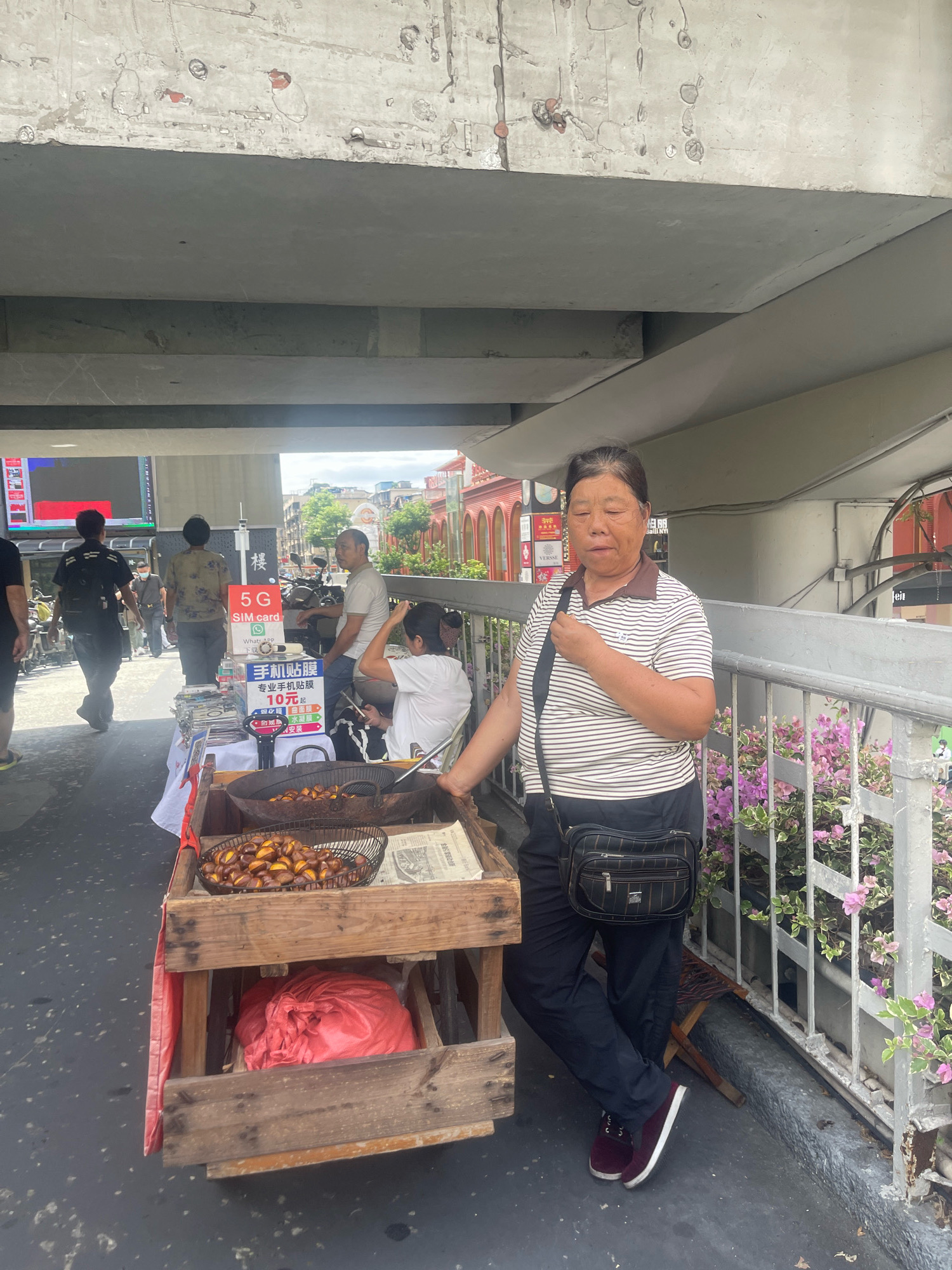 A middle-aged Asian woman stands next to a wooden cart on a paved surface, likely a street or sidewalk, under an overpass in Baiyun District, China. The woman is wearing a horizontally striped polo shirt and dark pants. She has a black crossbody bag slung over her shoulder. Her expression is neutral, and her eyes are partially closed.
The cart is filled with roasted chestnuts in a metal basket. Below the chestnuts is a red plastic bag and some newspapers. Behind the woman, a metal railing with potted plants featuring pink flowers runs along the edge of the walkway. In the background, there are other people, motorcycles, and buildings, suggesting an urban environment. A sign that says "5G SIM card" is visible on the cart. The overpass structure is visible above, showing concrete supports and beams.