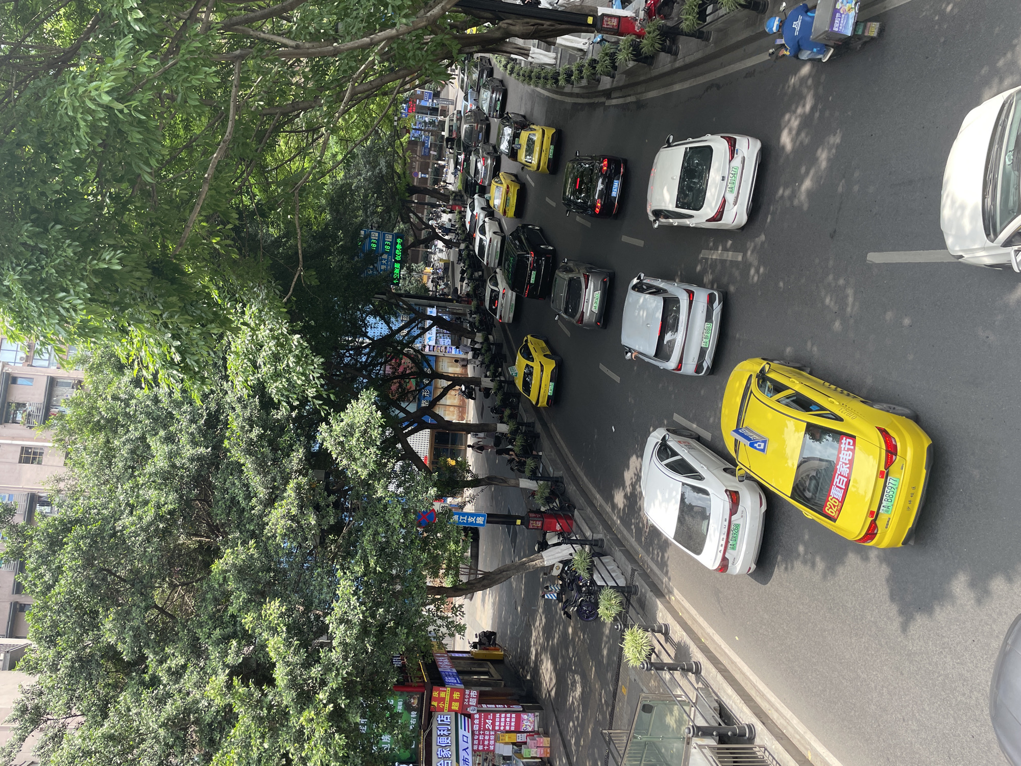 The image shows an urban street scene in what appears to be Yuzhong District, China, given the license plates. A line of cars, mostly white and yellow, are visible on the road. The road is lined with trees and shops, including a convenience store with signs in Chinese and advertisements for Chongqing noodles. Some pedestrians can be seen on the sidewalks. There is also a delivery driver on a scooter. The image appears to be taken from an elevated perspective.
