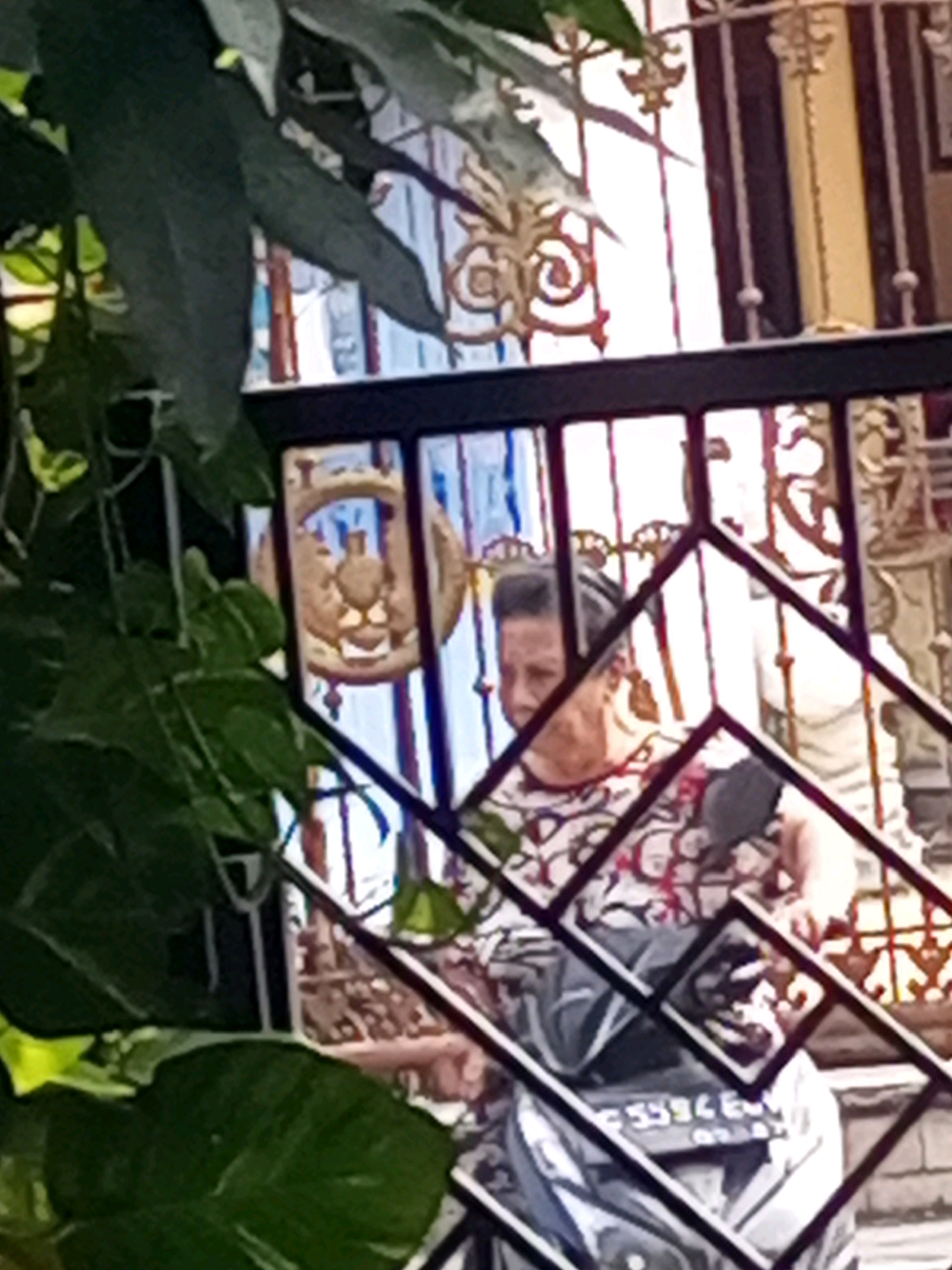 A person is visible through a decorative metal gate and foliage in an outdoor environment. The person, wearing a patterned shirt and a dark cap, is partially obscured by the gate and appears to be seated on a motorcycle. The motorcycle's license plate, with characters "3594 E" and "07.23", is partially visible. Behind the person and gate, architectural elements are discernible, including ornate decorative panels and vertical bars, suggesting a building or structure. The overall lighting suggests it is daytime. This scene is located in Ngasem, Indonesia.
