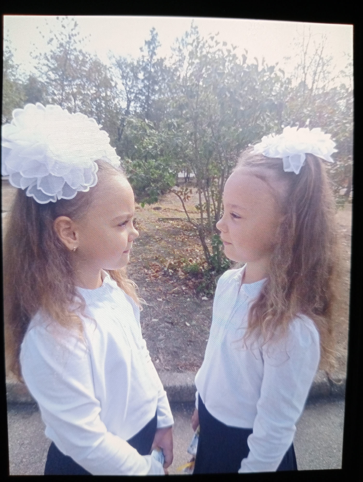 The image shows two young girls, presumably sisters, dressed in white shirts and dark skirts, posing outdoors. They are facing each other, and both have large white hair accessories. The background consists of trees and foliage, suggesting a park or a schoolyard setting. The lighting indicates it is daytime, with some sunlight filtering through the leaves. The girls are looking at each other and appear to be posing for a photograph. There is no specific indication of the city of Mykolaiv, Ukraine, in the image itself.