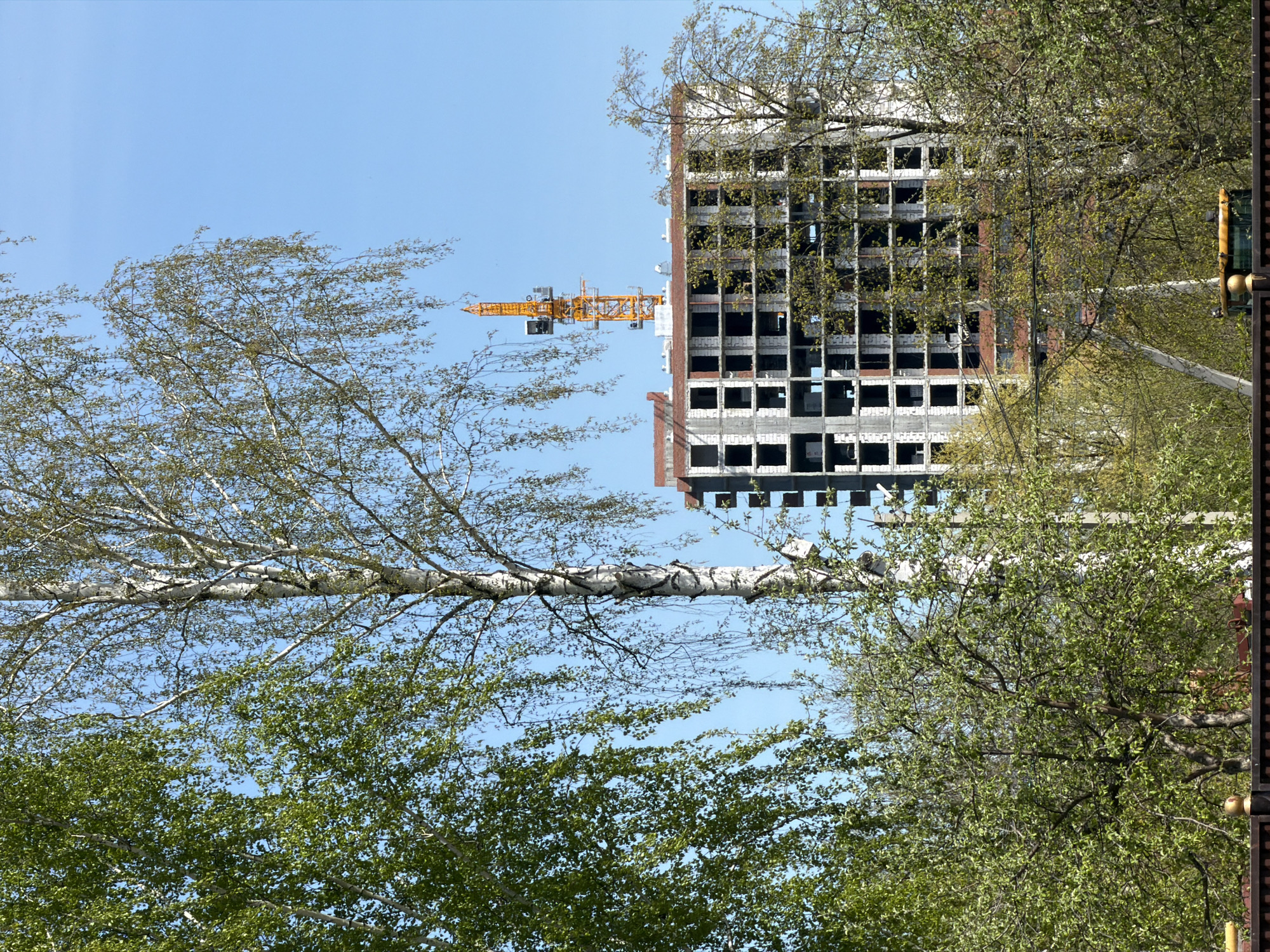 The image shows a partial view of an unfinished high-rise building with a yellow crane attached to its side. The building's facade is primarily concrete with multiple empty window spaces. A mix of bare and budding trees obscures sections of the building and sky. The location is in the city of Chaikovsky, Russia. A lamppost is on the right. The image is upside down.
