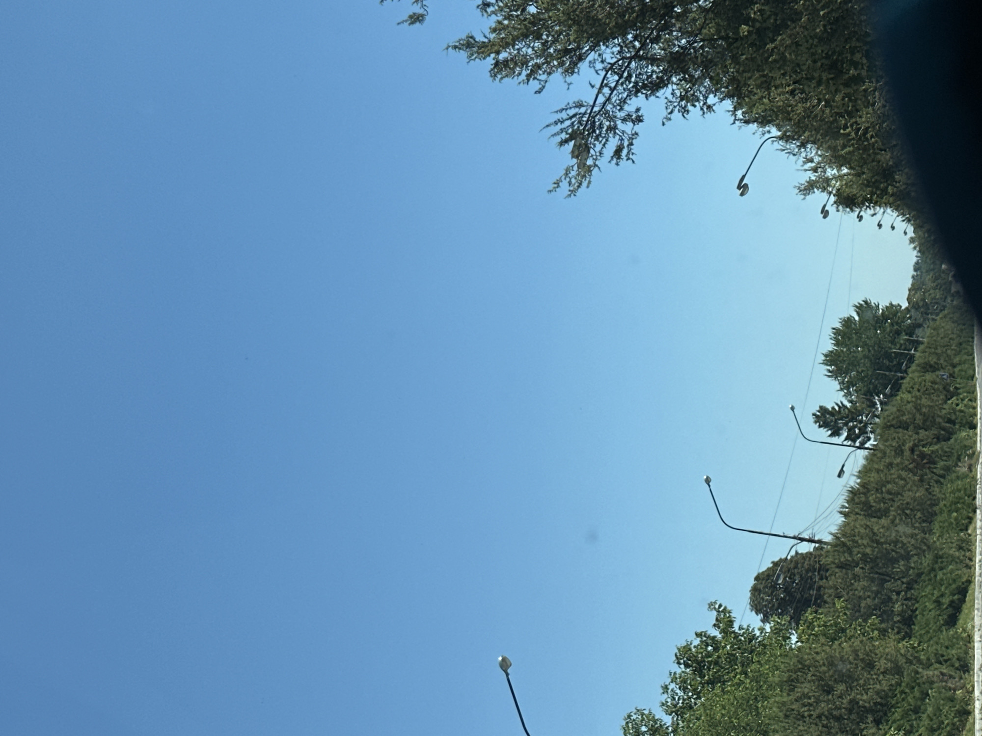 The image depicts a bright, clear blue sky above a tree-lined road in Makiv, Ukraine. Several streetlights are visible, lining the road on the right side. The trees are a mix of evergreen and deciduous varieties, with dense foliage. The overall impression is that of a sunny day on a suburban or rural road.