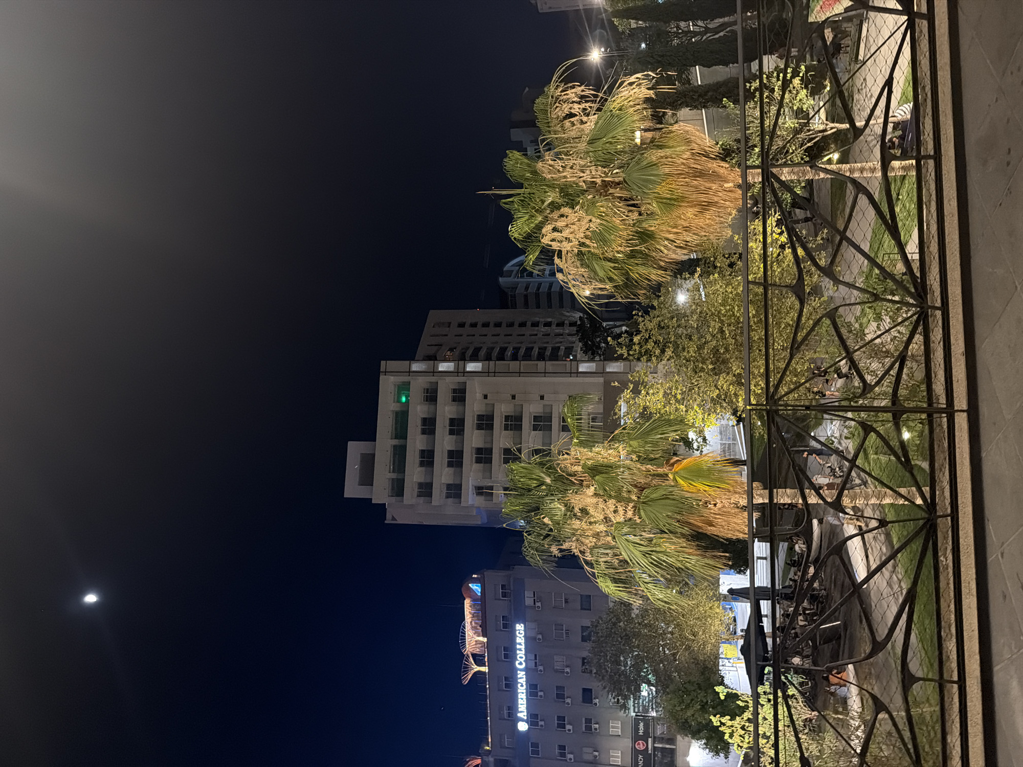 This image depicts a night scene in Nicosia, Cyprus, featuring an urban landscape with buildings and palm trees. The moon is visible in the dark sky, suggesting it is nighttime. A tall, modern building with many windows and green lighting on one of its upper floors dominates the background. Below it, another building displays illuminated signage that reads "AMERICAN COLLEGE". Adjacent to this building, there are outdoor seating areas with umbrellas, suggesting a commercial or dining establishment. Palm trees with dry, straw-like fronds are prominent in the foreground and midground, their textures illuminated by artificial lights. A decorative metal railing runs along the right side of the image, partially obscuring the view of the scene beyond. The overall impression is of a vibrant, well-lit urban environment at night, likely a public space or commercial district. There are a few indistinct figures visible in the distance, possibly patrons of the outdoor seating area or pedestrians. The weather appears to be clear, given the visibility of the moon and the absence of rain.
