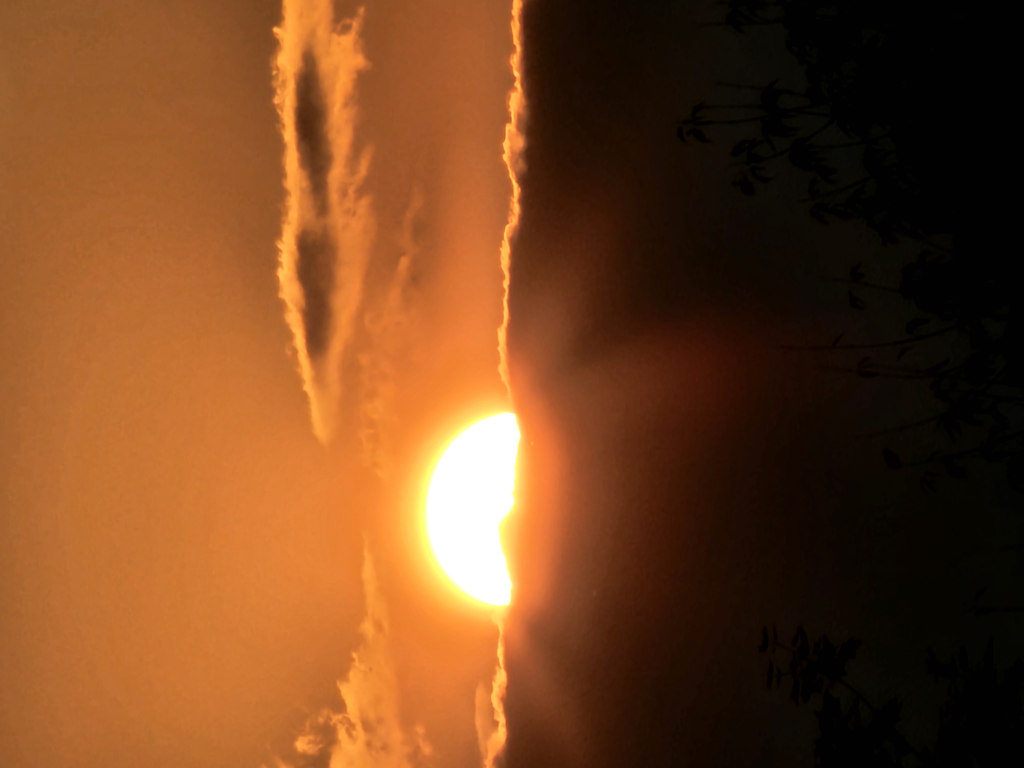 A dramatic sunset paints the sky in hues of orange and yellow. The sun, a brilliant white orb, is partially obscured by a layer of dark clouds, with its upper half visible above the horizon. A few wispy clouds drift across the upper sky, catching the warm light. In the foreground, the silhouettes of trees and foliage are starkly visible against the fading light, suggesting a natural or park-like setting. The scene is devoid of any human presence. The location is identified as Khimki, Russia, implying this is a depiction of a sunset in that specific geographical area.