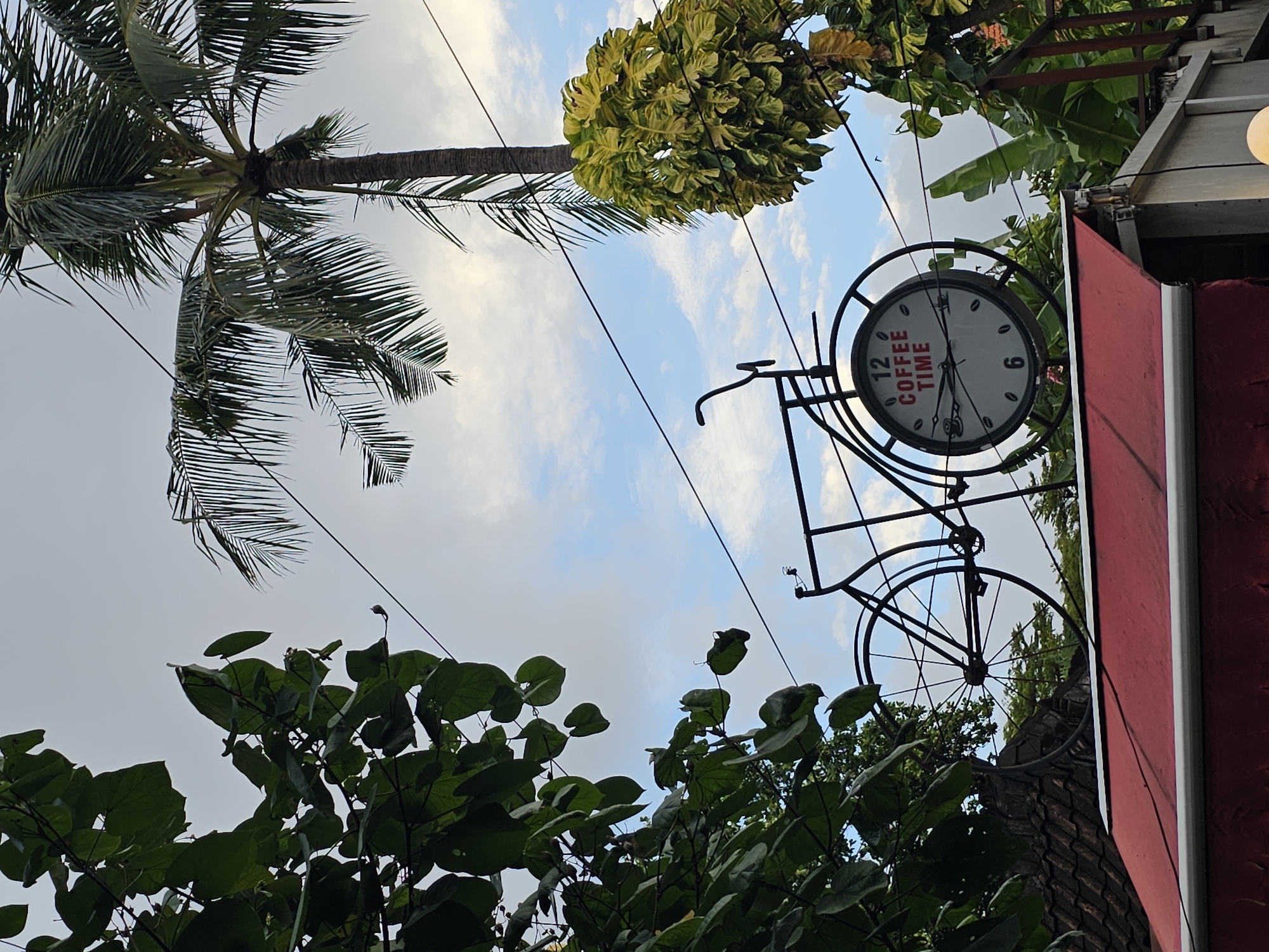 The image captures a street scene in Denpasar, Indonesia. A decorative metal bicycle frame hangs as a sign for a business, featuring a clock face that reads "Coffee Time." The clock is fixed to the side of a building with a red awning. A tall palm tree and various green leafy plants dominate the foreground and background, framing the scene. Overhead power lines intersect the view, running across the sky. The sky itself is a mix of cloudy and clear patches.