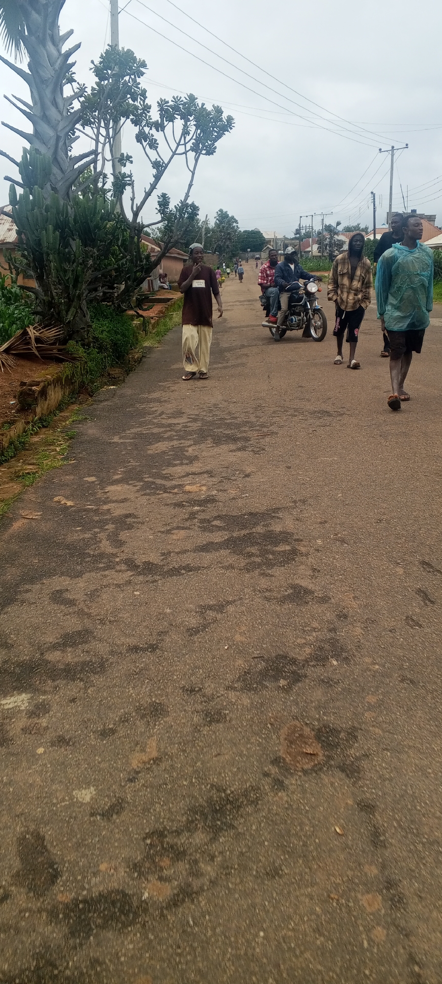 A street scene in Bahit, Nigeria, features a paved road with several individuals and a motorcycle. On the left side of the road, a person wearing a brown long-sleeved shirt and light-colored pants walks towards the camera, with a white cap on their head. A large, leafy plant and a cactus-like plant are visible to the left of this person, bordering the road. Further down the road, a motorcycle with two people is traveling away from the camera. The driver appears to be wearing a plaid shirt and a dark jacket, while the passenger is in a red and white checkered shirt. To the right of the motorcycle, another person in a tan and brown plaid jacket walks towards the camera. Further right, a person in a teal poncho walks in the same direction as the viewer. The background shows residential buildings and utility poles with overhead wires, suggesting a semi-urban or rural environment. The sky is overcast.