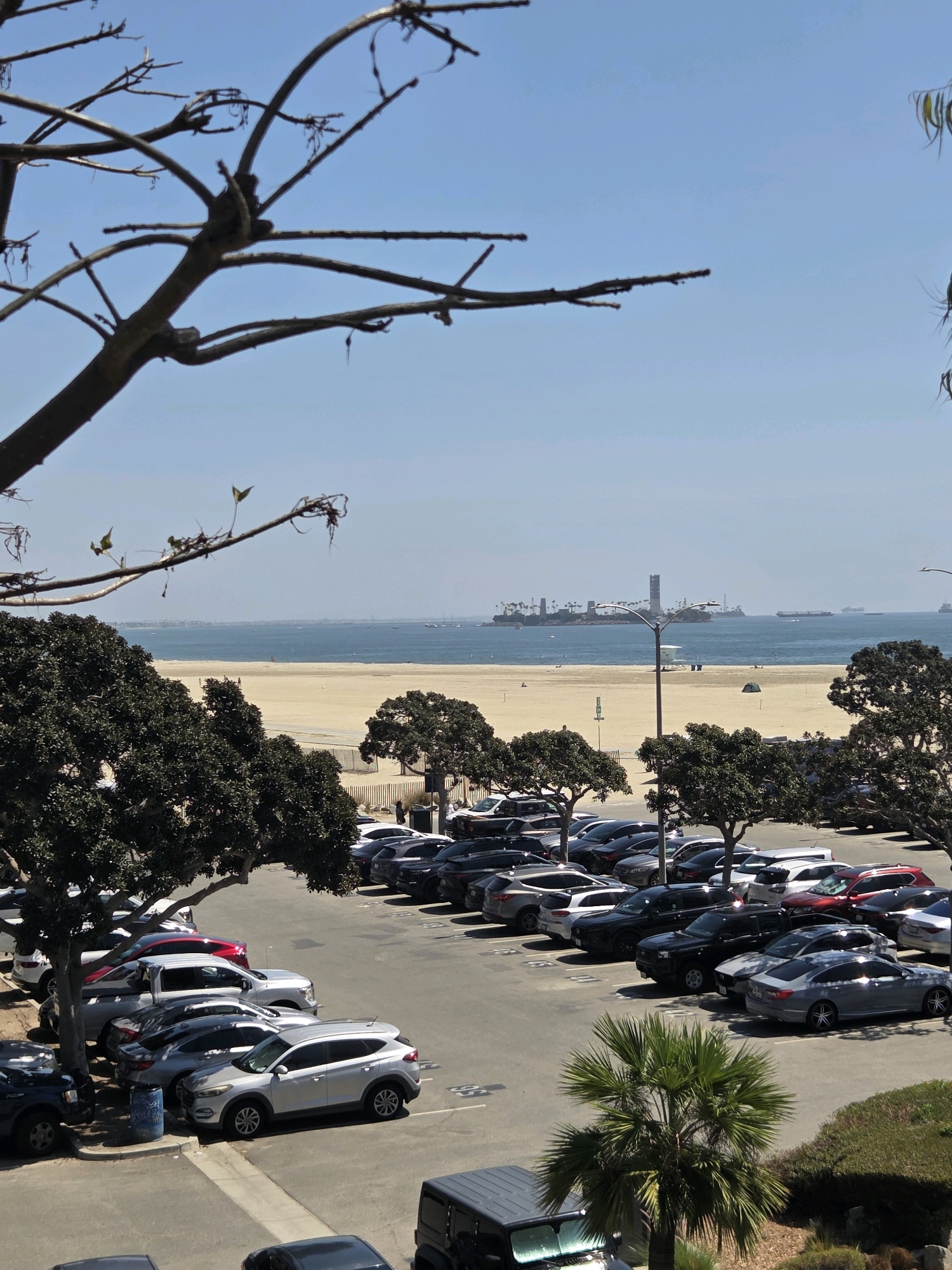 The image depicts a panoramic view of a beach parking lot in Long Beach, California, USA. The foreground is dominated by the stark branches of a leafless tree against a clear blue sky. Below the tree, a densely packed parking lot filled with various cars, including SUVs and sedans, is visible. Beyond the parking lot, a wide expanse of golden sand beach stretches towards the ocean.
In the middle ground, the calm blue ocean is dotted with several cargo ships and smaller boats, suggesting a busy port area. A distinct man-made structure with a tall tower and several smaller buildings is visible on a man-made island in the distance, likely part of the Long Beach port complex. The beach itself has a few scattered individuals and a small tent, indicating recreational use. The overall scene is bathed in bright sunlight, characteristic of a clear day. The presence of palm trees interspersed with the parking lot and along the edge of the beach hints at a coastal, possibly southern California, environment.