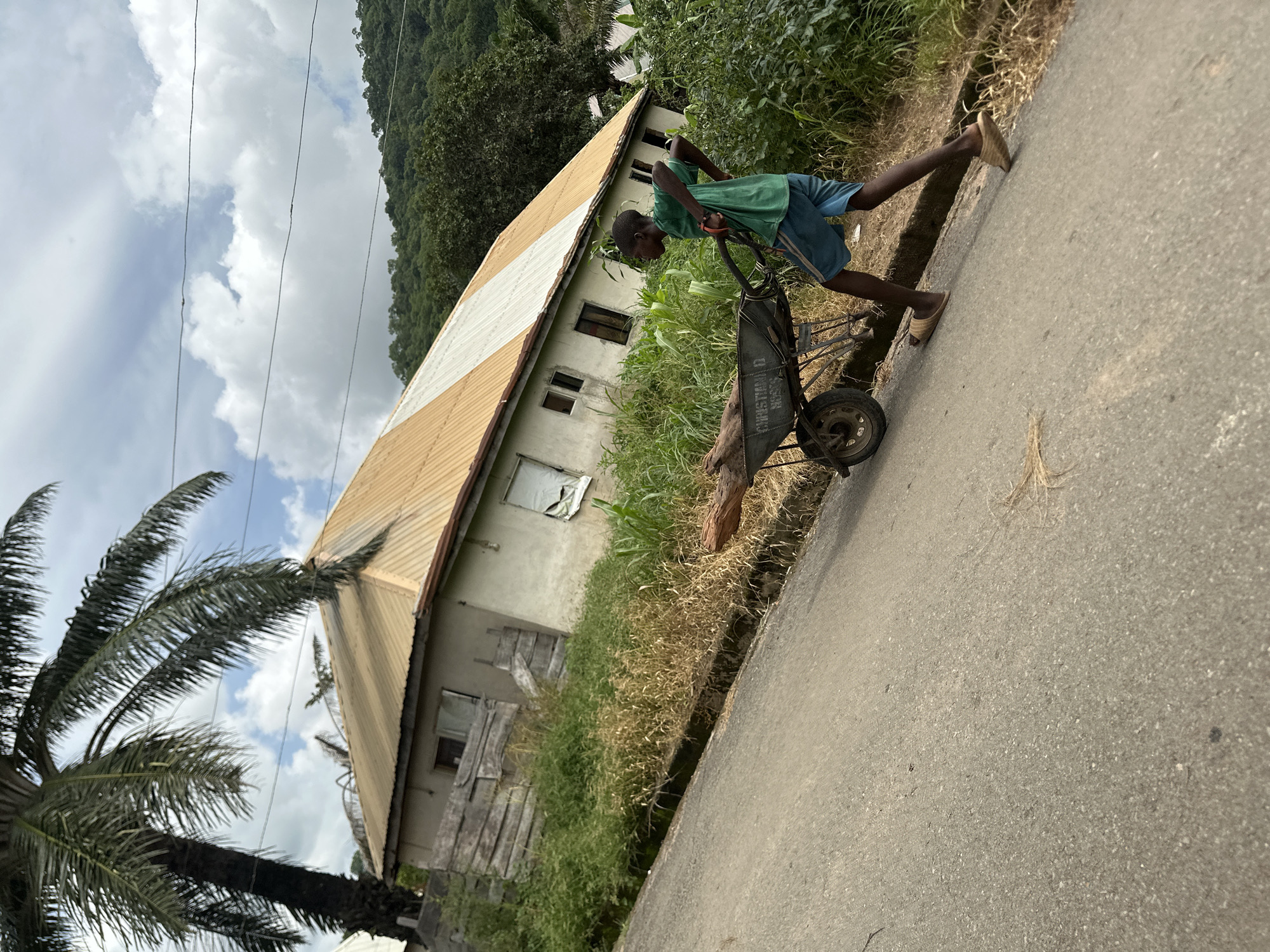 A young boy pushes a wheelbarrow loaded with a large piece of wood down a paved road. He is wearing a green t-shirt and blue shorts, with light brown sandals. The wheelbarrow is dark gray, and the wood appears to be a log or thick branch.
In the background, a building with a light-colored wall and a corrugated metal roof, which is striped with yellow and white, stands beside the road. The building has several windows, some of which are covered with wooden planks. The area around the building is overgrown with tall green and dry grass, and some corn stalks. To the left of the building, a large palm tree with dark green fronds is visible. Further in the background, a lush green, forested hillside rises under a cloudy sky with scattered white clouds. Electrical wires run diagonally across the sky.
The scene suggests a rural or semi-rural setting in Mararaba, Nigeria. The time of day appears to be daytime, possibly overcast. The boy's posture and the effort involved in pushing the wheelbarrow indicate he is engaged in manual labor, likely transporting the wood. The overall atmosphere seems to be one of everyday life and work. There is some text visible on the side of the wheelbarrow, but it is partially obscured and difficult to read clearly.
