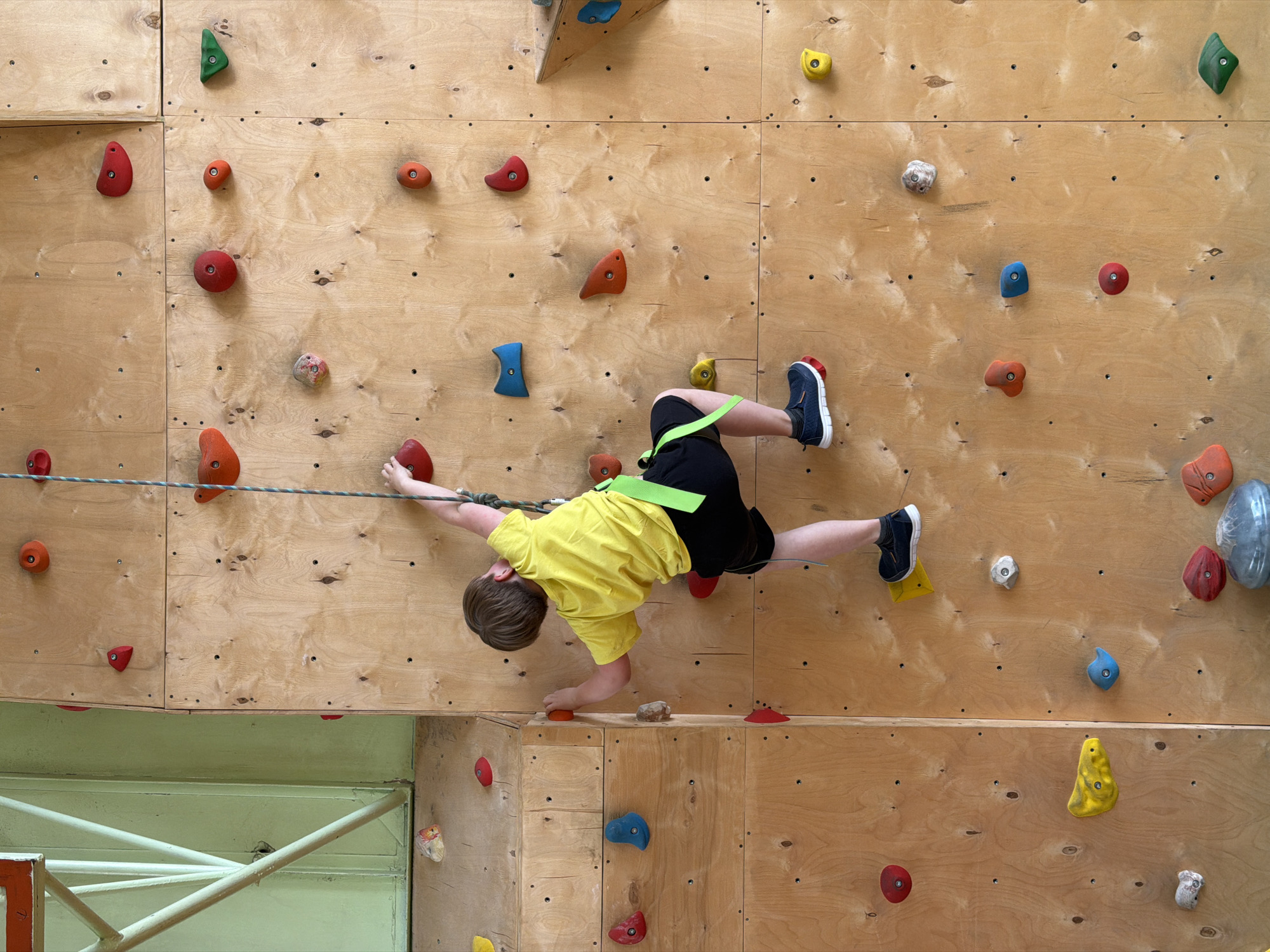 A young child is depicted actively climbing an indoor bouldering wall, viewed from a slightly elevated perspective. The child is wearing a bright yellow short-sleeved t-shirt, black shorts, and dark athletic shoes with white soles. A fluorescent green safety harness is visible around their waist, and a white rope runs horizontally across the wall near the child's body, possibly for assistance or as part of the climbing route.
The climbing wall is constructed from light-toned wooden panels, likely plywood, affixed with numerous colorful climbing holds of various shapes and sizes. These holds include shades of red, orange, blue, green, yellow, and mottled grey/white. The child is stretched out on the wall, with their right hand gripping an orange hold and their left hand extended towards the rope. Their right foot is firmly placed on a yellow hold, and their left foot is on a red hold, demonstrating a wide stance typical of bouldering.
Below the main wooden climbing surface, a section of light green wall and some white metal framework or scaffolding are visible, indicating an indoor sports facility or gym environment. The scene captures a moment of focused physical activity. There is no visible text in the image. The activity takes place in Izhevsk, Russia.