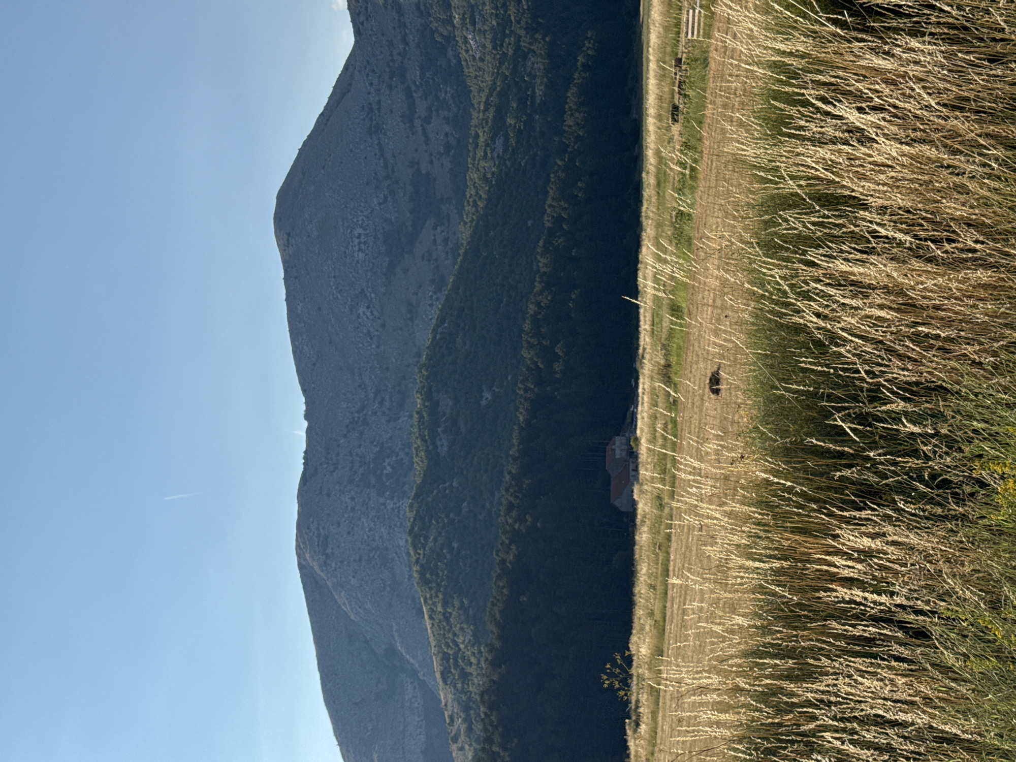 In the foreground, tall, dry grass stands golden under the sunlight. Beyond this, a field of mowed hay stretches out, with a few dark shapes that appear to be bales of hay visible in the distance. A small, red-roofed building is nestled amidst a dark, dense forest that covers the lower slopes of rolling hills. The hills themselves are covered in lush green vegetation. Behind these, a larger, rocky mountain dominates the background, its slopes textured and varied. The sky above is a clear, pale blue, with a faint contrail from an aircraft visible. The scene appears to be a rural landscape, likely in the municipality of Rajićići, Montenegro, given the distinctive mountainous terrain and vegetation. The overall impression is one of a serene, natural environment bathed in the warm light of day.