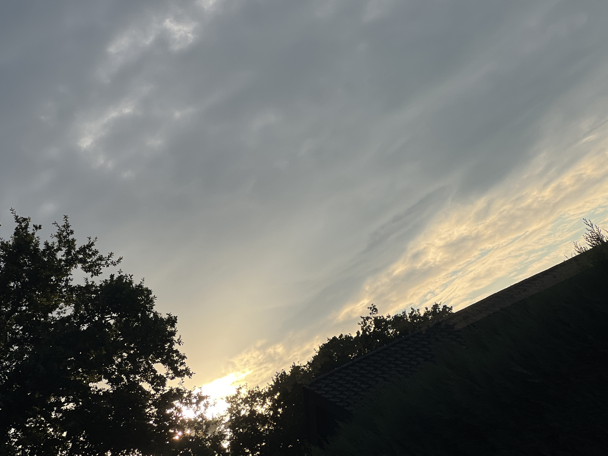 The image depicts a sky filled with clouds, with sunlight partially obscured by the silhouetted branches of a tree in the upper left corner. A fence or wall with a dark, textured surface runs diagonally across the lower left portion of the frame, topped by more dark foliage. The sky exhibits a gradient of colors, from the bright, sunlit area near the tree to a cooler, overcast grey further to the right. Thin, elongated clouds are visible, catching the light in some areas. The overall scene suggests an outdoor environment, possibly a garden or backyard, during a time of day when the sun is low in the sky. The image is oriented such that the horizon is not clearly visible, and the framing is diagonal, giving a sense of perspective. There are no people or animals present in the image.