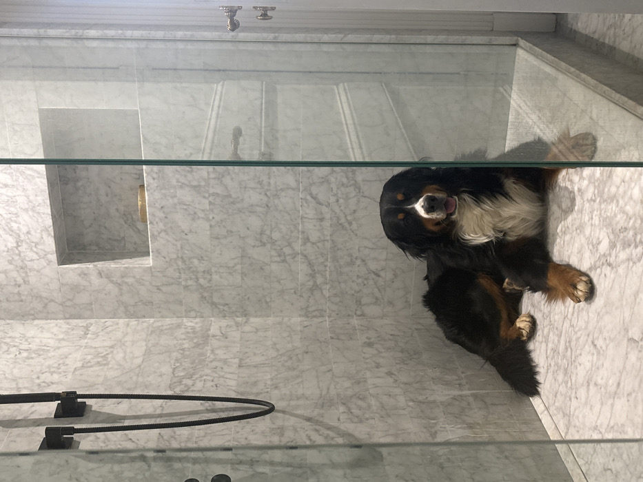 A tricolored Bernese Mountain Dog is observed lying inside a modern shower enclosure within a residence in Barcelona, Spain. The dog, predominantly black with white chest and face markings and tan accents, rests on its front paws on the light-grey veined marble floor tiles, facing the viewer with its mouth slightly open. The shower walls are also clad in matching grey-veined marble tiles. On the left wall, a matte black shower head, its flexible hose hanging vertically, and corresponding control knobs are installed. A rectangular recessed niche in the back wall contains a small, golden cylindrical object. The shower enclosure is formed by clear glass panels, and a segment of a white door with golden-toned hardware is visible to the right, outside the glass.