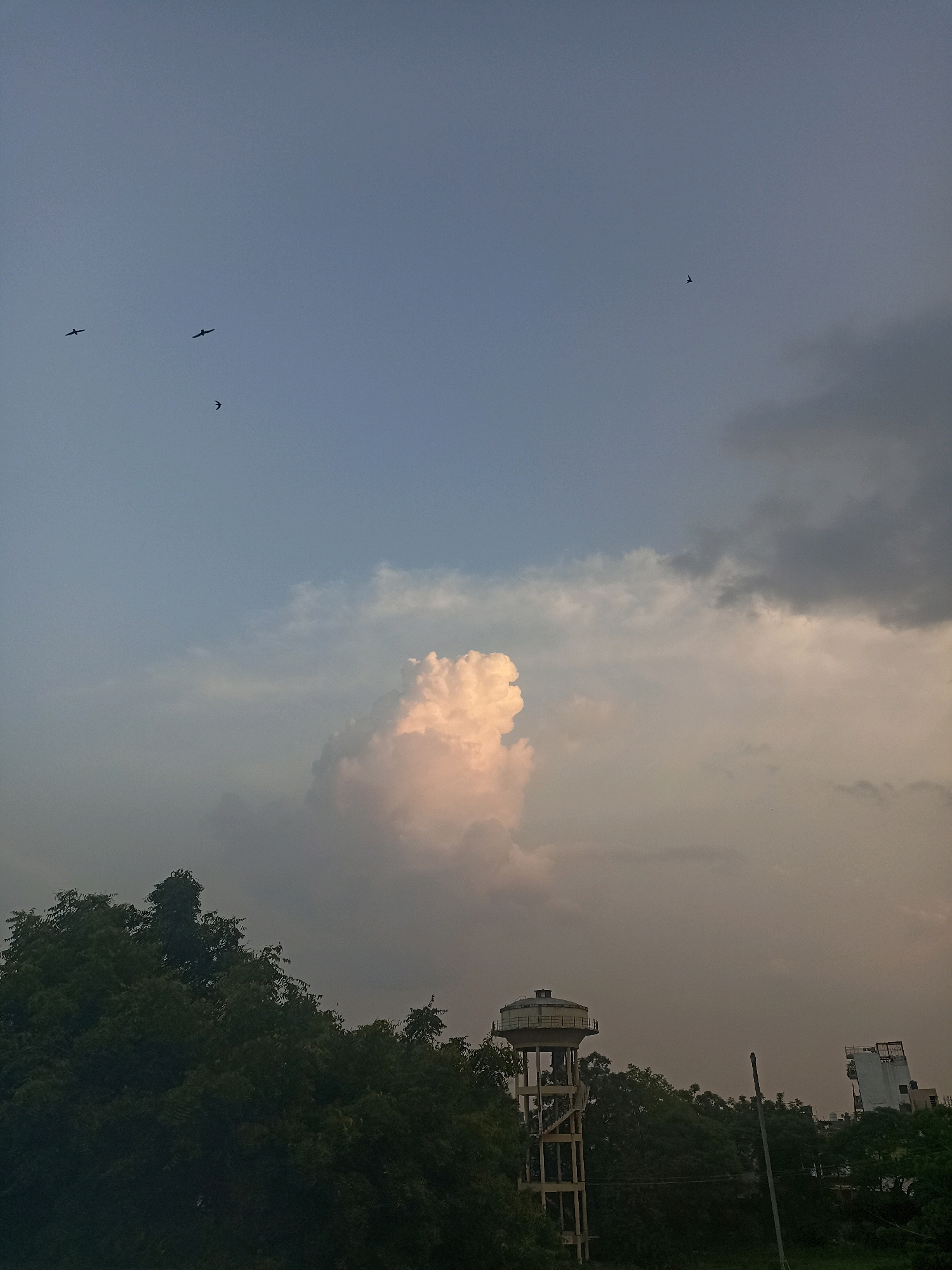The image depicts a cityscape in Aligarh, India, under a dusky sky. In the foreground, dense green foliage occupies the lower portion of the frame. A prominent water tower with a rounded tank on a tall, skeletal structure stands to the left of center, with a modern white building visible further to the right. The sky is a mix of blue and grey clouds, with a large, illuminated cloud formation in the middle ground, tinged with pink hues. Several birds or aircraft are visible as small silhouettes against the sky, scattered across the upper half of the image. The overall lighting suggests the time is either early morning or late evening.
