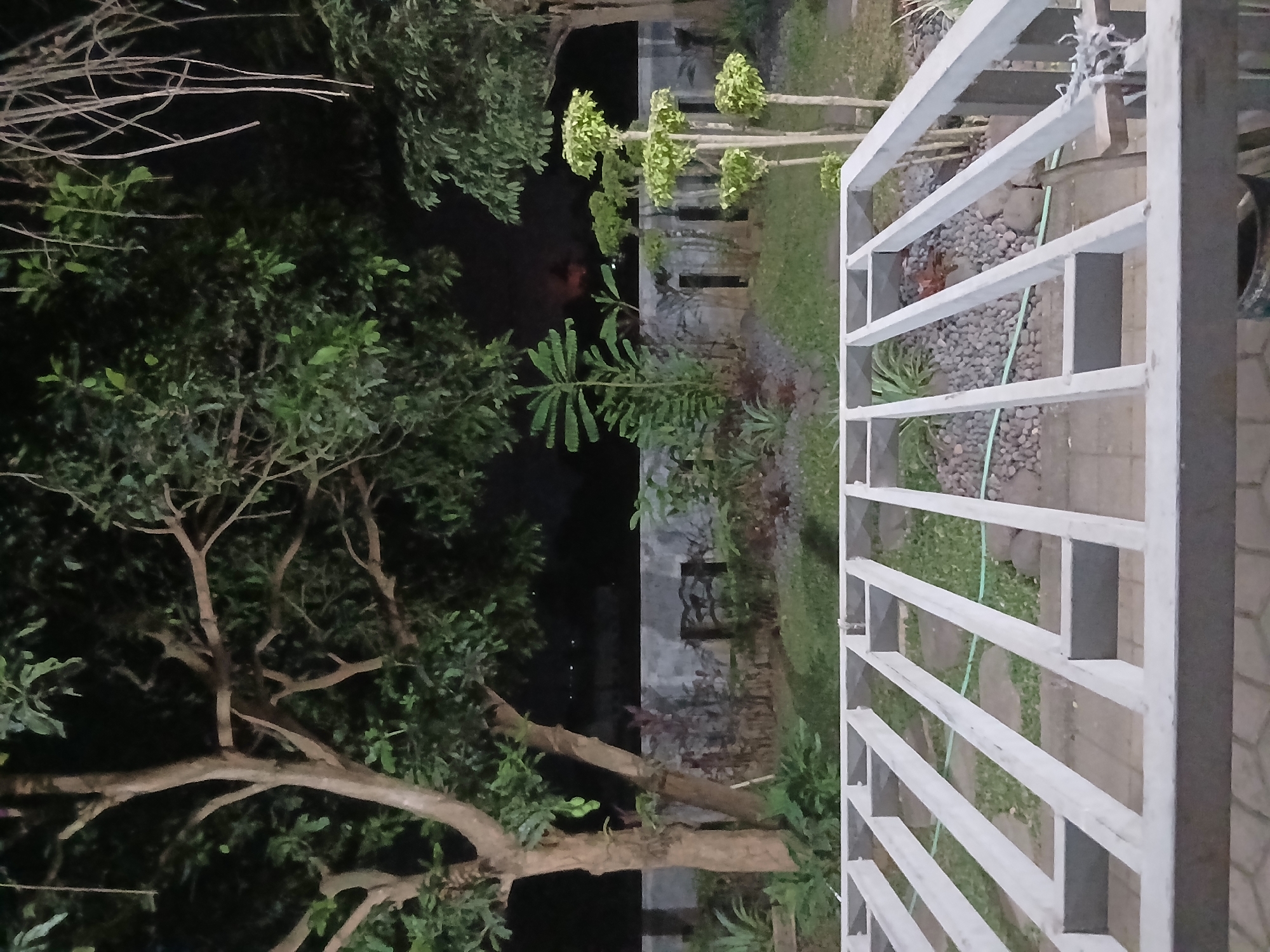 The image depicts an outdoor scene at night, possibly in Sekarputih, Indonesia. In the foreground, a light-colored metal frame structure is visible, suggesting it is part of an unfinished construction or a temporary setup. Beyond this frame, a garden area is laid out with a variety of plants, including trees, bushes, and smaller ornamental plants. A low wall runs across the mid-ground, separating the garden from what appears to be a darker, possibly urban, background with faint lights suggesting distant structures or streetlights. The overall lighting is dim, characteristic of nighttime, with the foliage illuminated by an unseen light source, creating a slightly dramatic effect. There are no people visible in the frame.