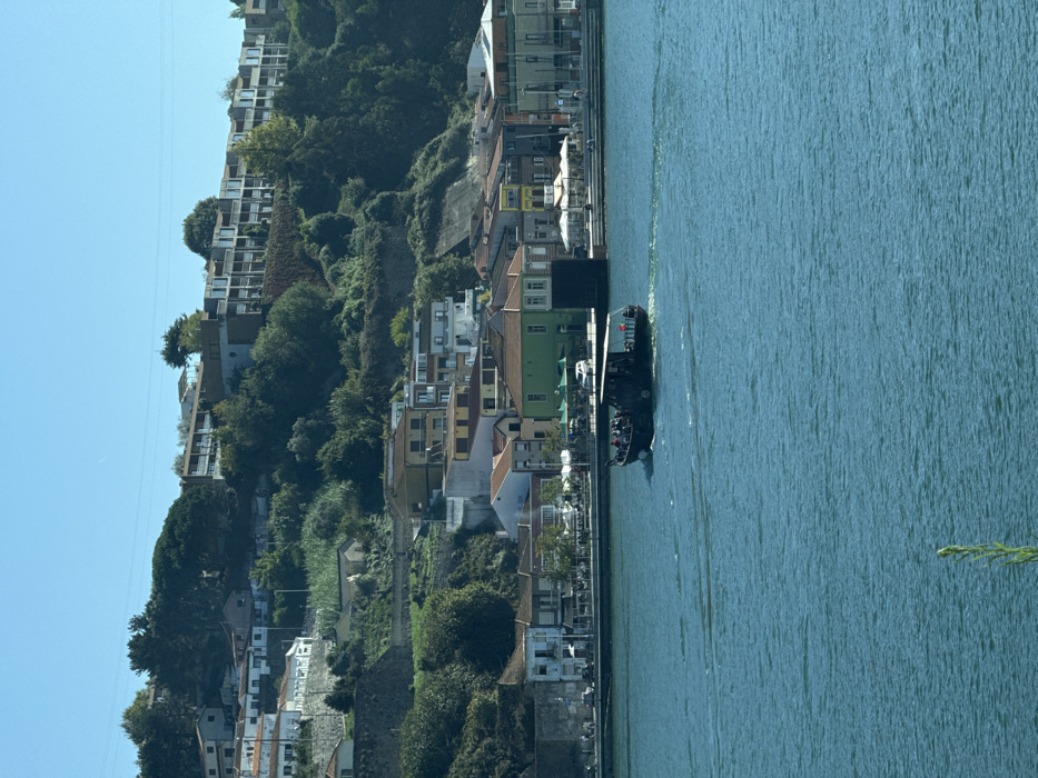 The image displays a panoramic view of the Douro River and its north bank in Lordelo do Ouro e Massarelos, Portugal, under a clear, cloudless blue sky. In the midground, a dark-hulled tourist boat, featuring a light-colored canopy over its stern, moves from left to right across the blue-green water, leaving a visible wake. Approximately 10-15 indistinct passengers are visible on board. A single, slender green plant stem protrudes from the extreme bottom center foreground.
The opposite bank reveals a steep, densely vegetated hillside rising directly from the river. Along the water's edge, a paved promenade is visible, lined with multi-story traditional buildings painted in various colors, including white, yellow, green, and brown. Several establishments feature outdoor seating areas with white and green umbrellas. A few individuals and small groups are present on the promenade and seated at these outdoor tables. A white vehicle is partially discernible on the street behind the buildings, and a dark rectangular structure extends into the water from the bank. Further up the hillside, numerous residential buildings with terracotta-tiled roofs are terraced amongst abundant green trees and foliage. Near the top of the slope, a long, modern building with multiple balconies extends horizontally, integrated into the landscape.