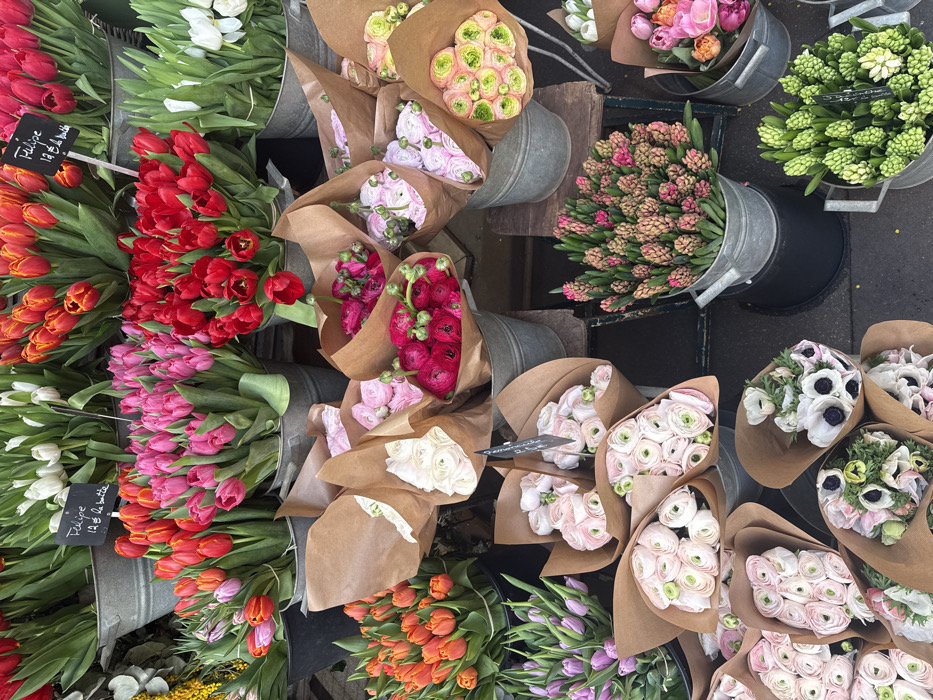 This image depicts a dense, vibrant flower stall in a market, located in Paris, France, as indicated by a visible pricing sign stating "Tulipe 12 € la botte" (Tulip 12 Euros per bunch). The scene is filled with numerous bouquets and bunches of fresh cut flowers, arranged in a multi-tiered display.
The upper portion of the frame showcases large quantities of tulips in various colors, including bright red, vivid pink, orange, white, and light purple, all presented upright in galvanized metal buckets. Below these, numerous smaller bouquets of ranunculus are individually wrapped in brown kraft paper, displaying shades of deep magenta, light pink, and pale green, also held within metal buckets. Further down, additional flowers are visible, including bundles of white anemones with dark centers wrapped in kraft paper, and two large galvanized buckets filled with clusters of hyacinth buds, one in pinkish-red and the other in vibrant green. A small bunch of yellow mimosa is partially visible on the far left. The flowers are uniformly fresh and well-presented, suggesting a retail environment. No individuals are present in the frame. The background implies a market setting with a dark ground surface and basic wooden shelving or planks supporting some containers.