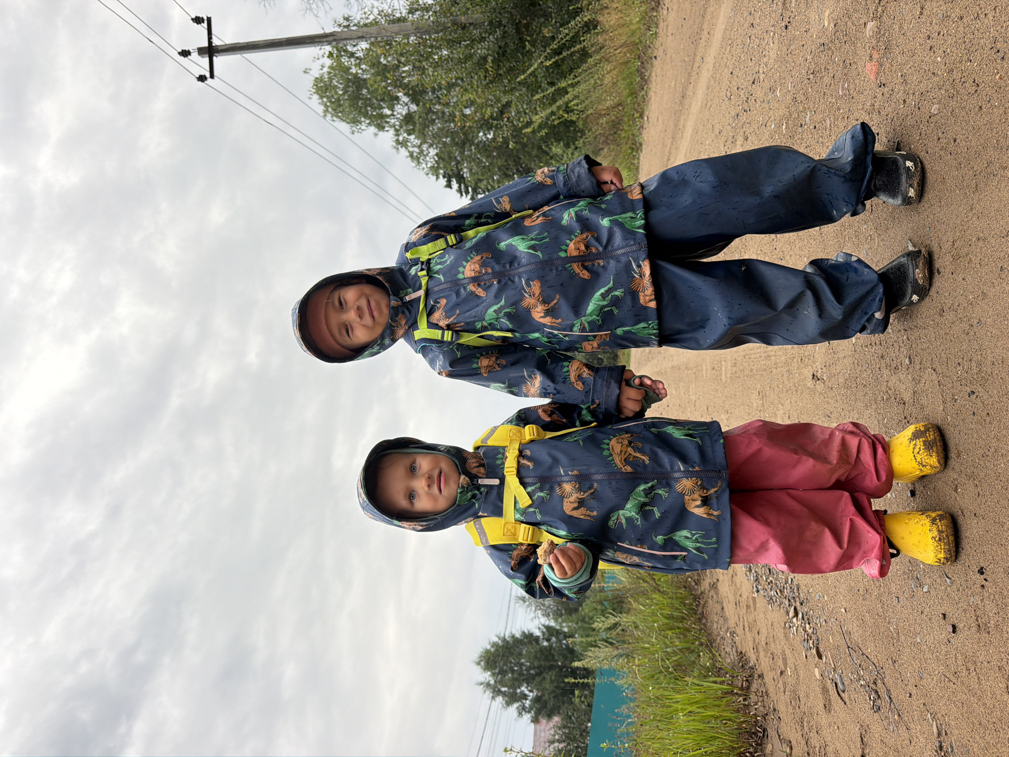 Two young children, one on the left and one on the right, stand on a dirt road. The child on the left is wearing a dark blue hooded raincoat with a dinosaur pattern, bright yellow backpack straps, and pink waterproof pants. They have yellow rubber boots and are holding a small object in their left hand. The child on the right is wearing a similar dark blue hooded raincoat with a dinosaur pattern and green backpack straps, along with dark blue waterproof pants and black rubber boots. Both children are holding hands. The background shows a cloudy sky, trees, a wooden utility pole with power lines, and a low green fence. The environment appears to be a rural or suburban area, consistent with the outskirts of Chaikovsky, Russia, given the presence of a dirt road and utility pole. The overall scene suggests the children are outdoors, possibly on an overcast day, dressed for wet weather.