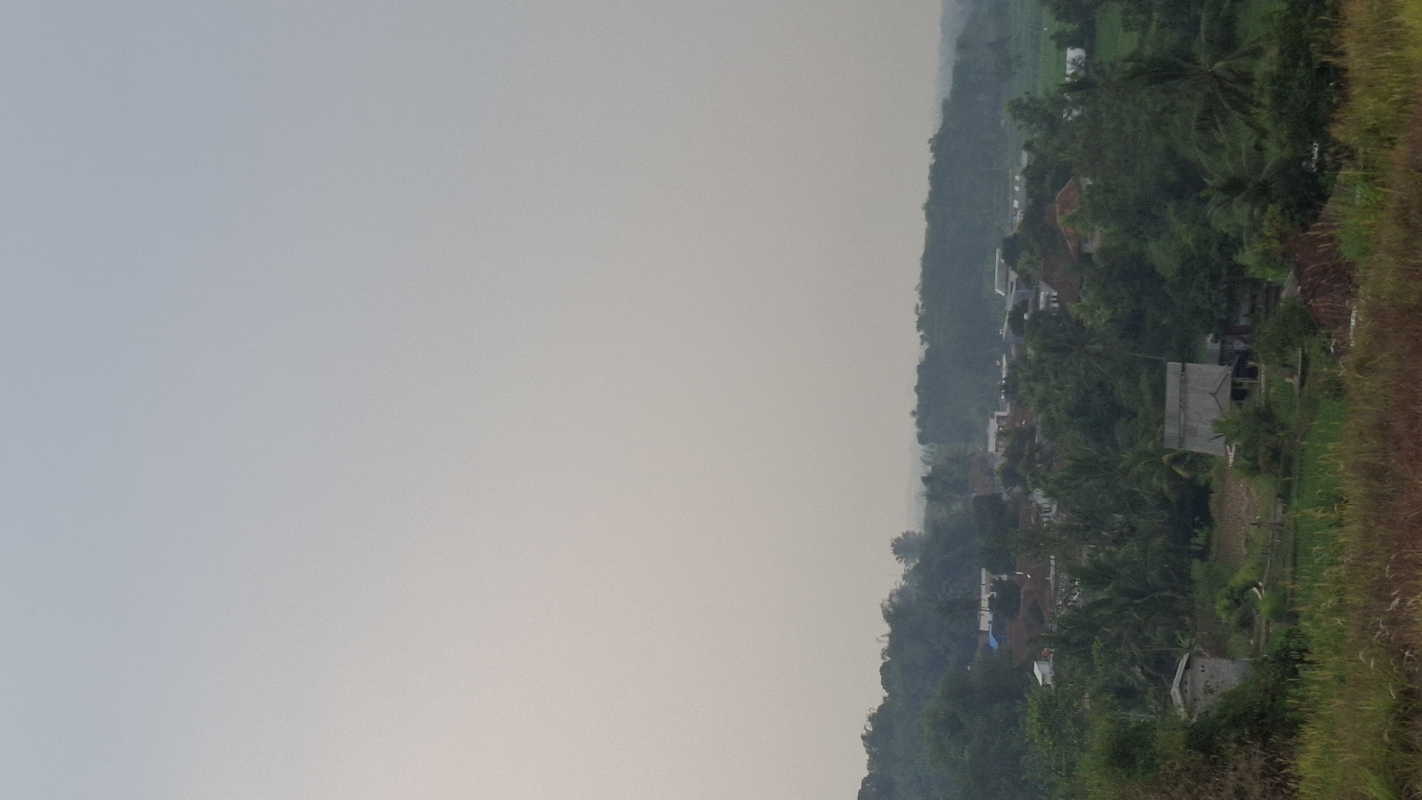 The image displays a panoramic view of a semi-rural landscape, likely in the city of Cibinong Hilir, Indonesia. The foreground features tall, dry grass and some vegetation, suggesting an elevated viewpoint overlooking a valley. In the midground, a cluster of houses with reddish-brown and gray roofs are visible, nestled amongst lush green trees and palm trees. Some of the houses have visible walls and windows, and a few appear to be simple structures. There is also evidence of cultivated fields, possibly rice paddies, interspersed with the greenery. In the background, a dense line of trees forms a natural barrier, beyond which the sky is overcast with a hazy, light gray hue. The overall scene depicts a serene, natural environment with scattered human habitation. There are no people or animals visible in the image.