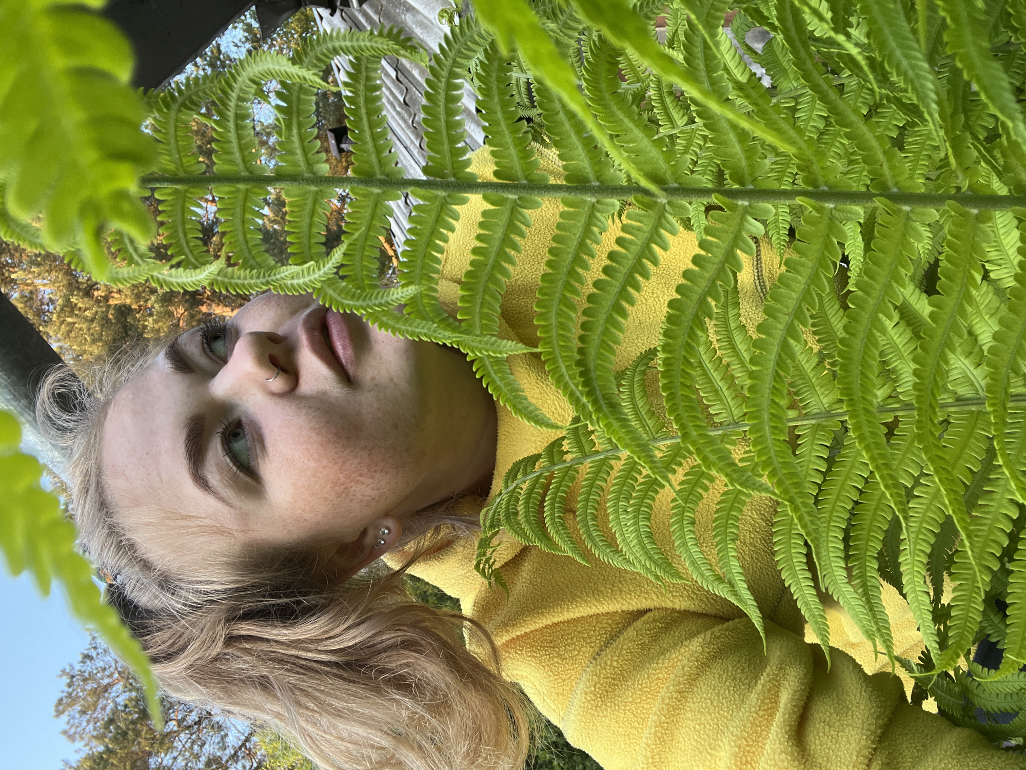 A close-up, rotated portrait shows a young person partially obscured by a large, vibrant green fern frond. The subject, a young woman, has blonde hair and light-colored eyes, looking slightly upwards and to the right. Her face displays freckles, and she wears a nose ring and multiple ear piercings. She is dressed in a textured yellow fleece jacket or sweater. The fern frond extends across the right side of the frame, with its finely dissected leaflets clearly visible. Through the gaps in the fern and behind the subject, a clear blue sky and the tops of green trees indicate an outdoor setting during bright daylight. The scene appears to be in a natural environment, possibly a garden or forest edge, in Chaikovsky, Russia. There is no visible text.