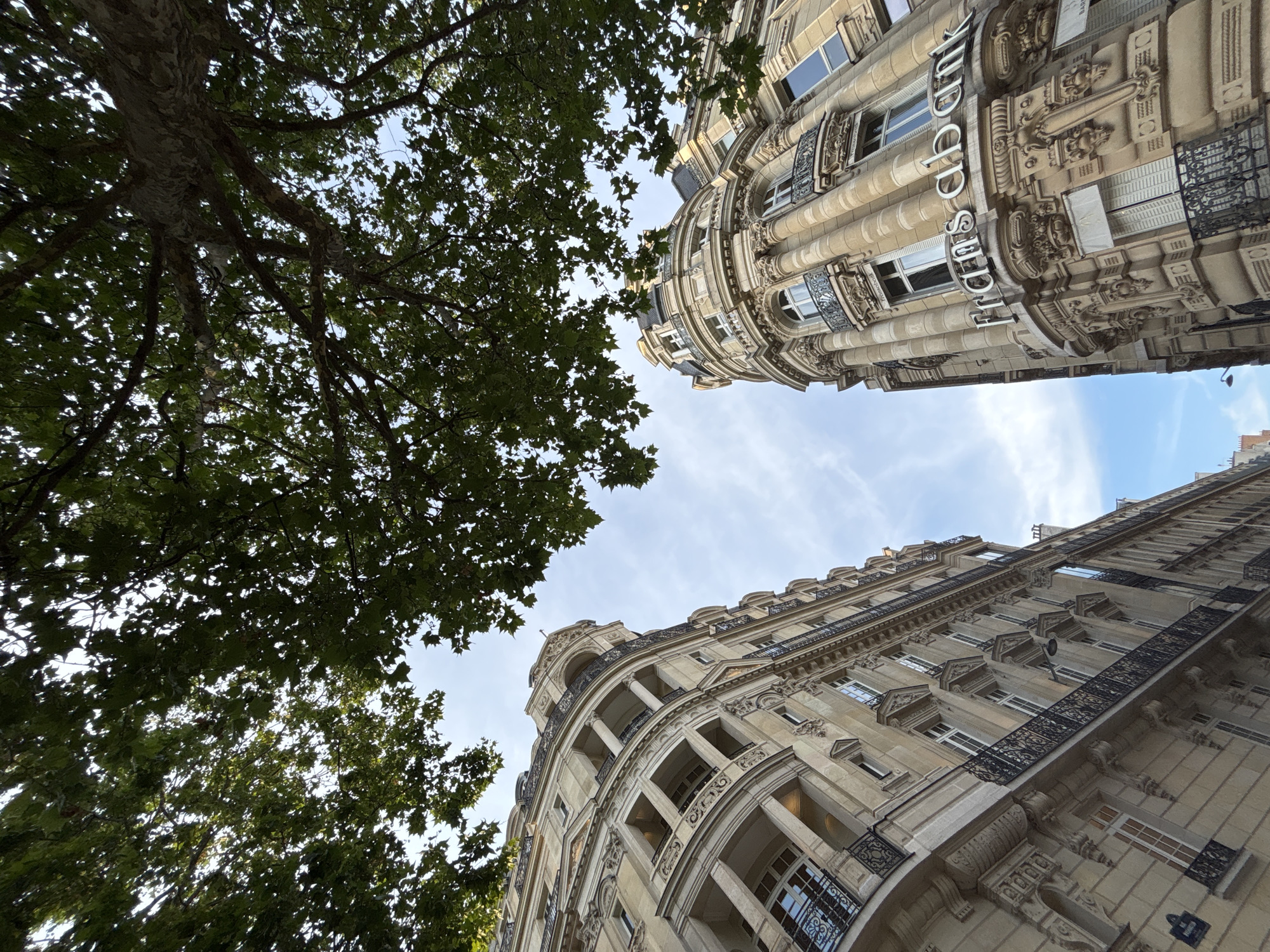 The image is a low-angle shot of two ornate, Haussmannian-style buildings in Paris, France, viewed from a street. Lush green tree branches with visible leaves overhang the top of the frame, obscuring parts of the sky and the upper sections of the buildings. The building on the left is a curved facade with multiple balconies featuring black wrought-iron railings and classical architectural details, including columns and arched windows. The building on the right is also elaborately decorated with stone carvings and columns, and it has a prominent curved corner. A sign with the silver text "frans abank" is clearly visible on the curved section of this building. The sky is a pale blue with scattered clouds. The overall impression is one of architectural grandeur set against a natural canopy in an urban Parisian environment.